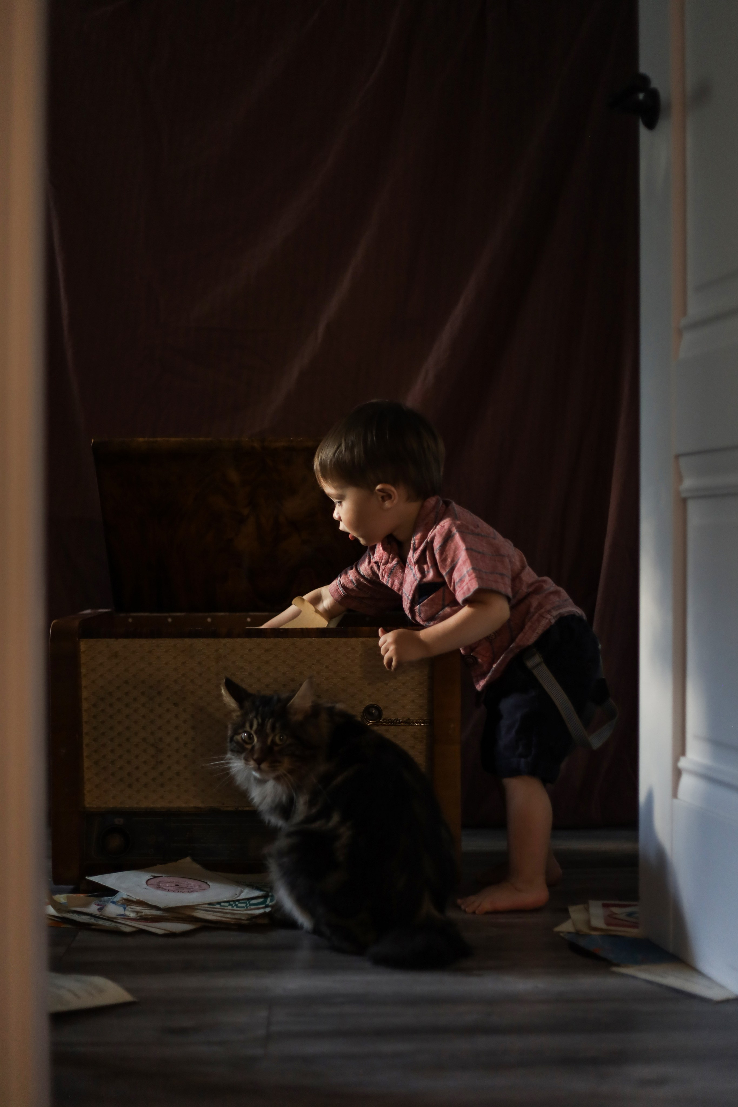 Галерея работ. Семейный и детский фотограф Рядчикова Екатерина Москва