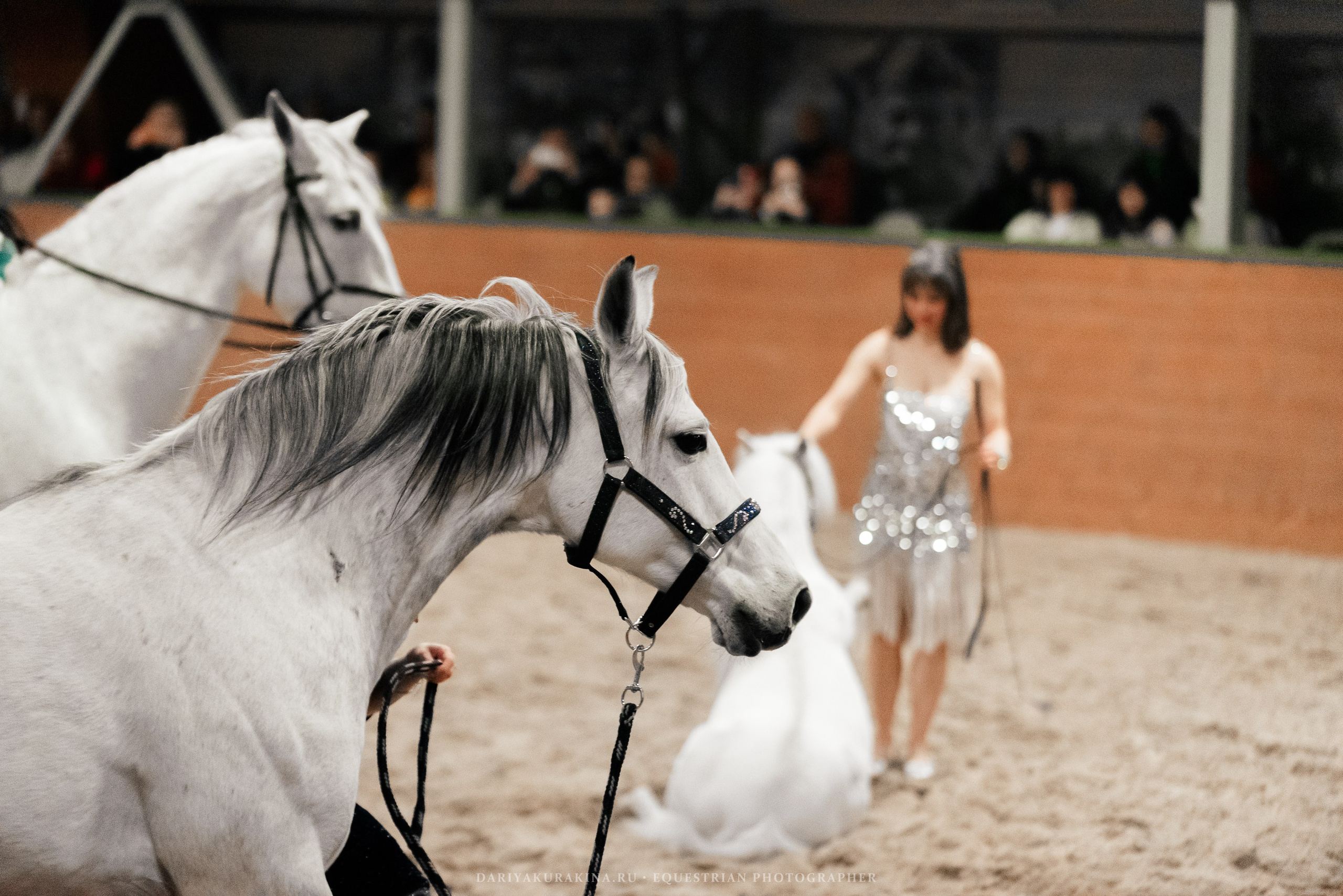 Конное представление «Дыхание Звёзд». Конный фотограф Куракина Дарья • Фотосессии с лошадьми