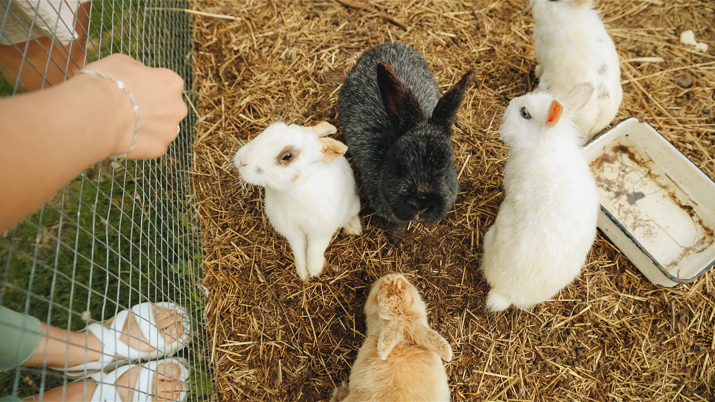 Тур — девичник LEF.TRAVEL.CLUB. KRIS KRUPINNIKOVA