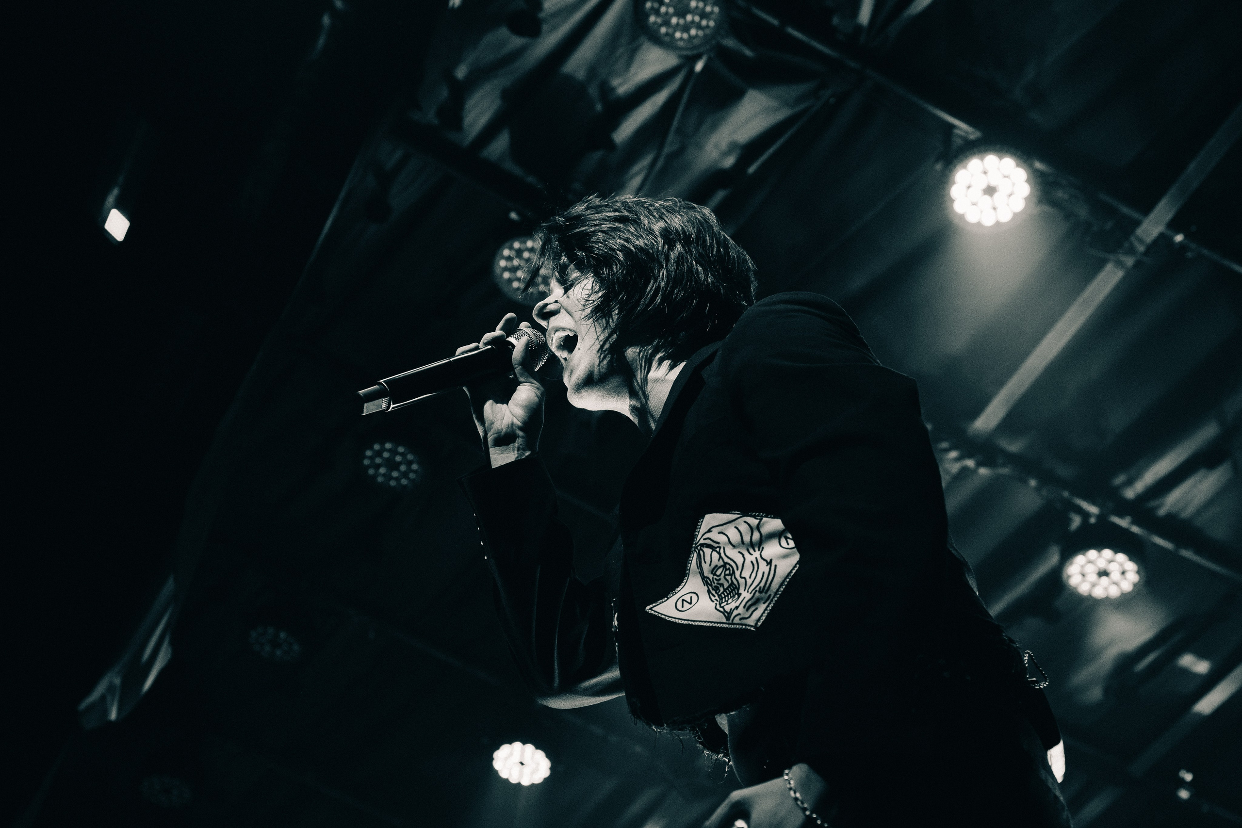 WILDWAYS. PASHAHARCE PHOTOGRAPHER & VIDEOGRAPHER