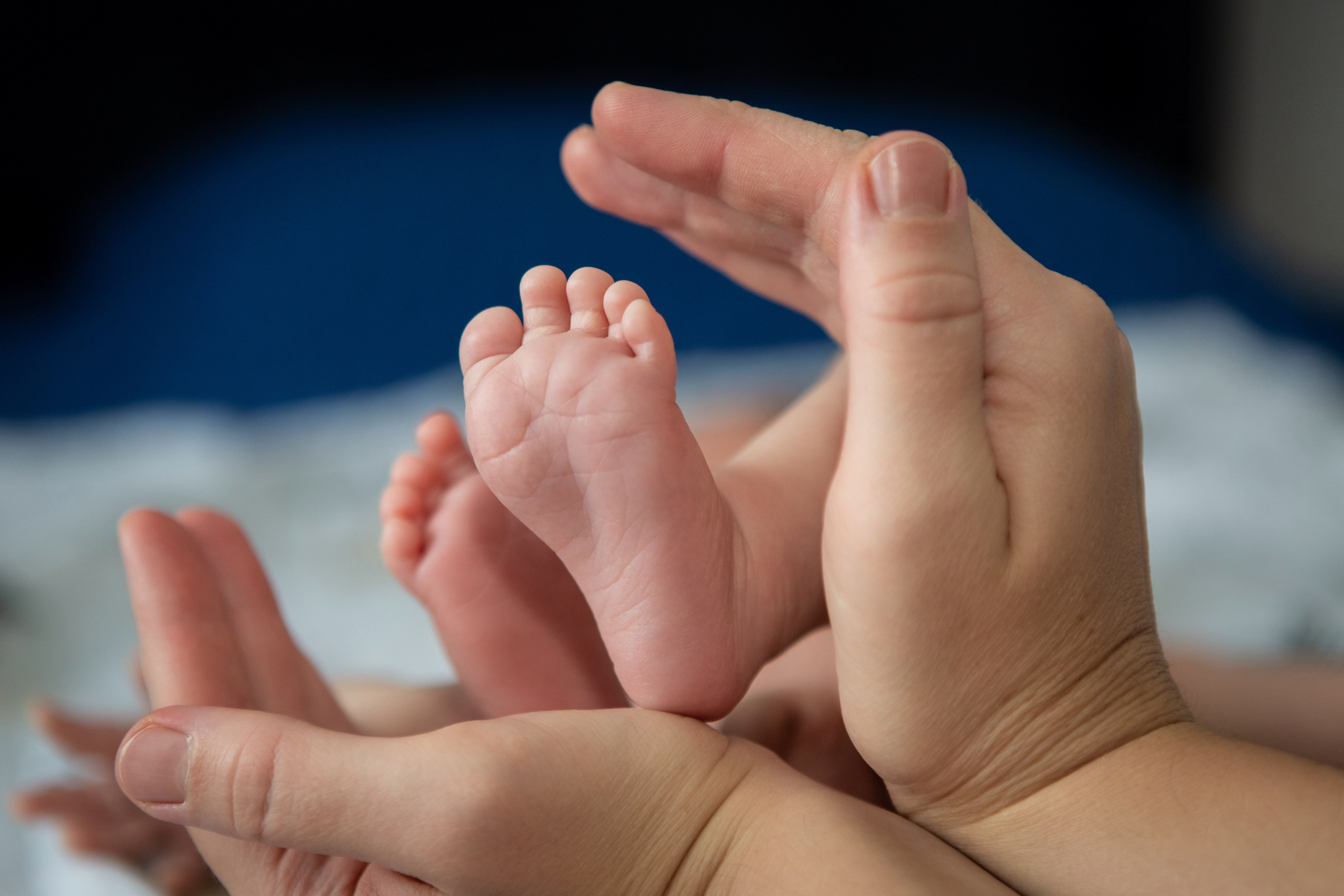 Арсюша — домашняя съемка. Вера Соколова фотограф Воронеж