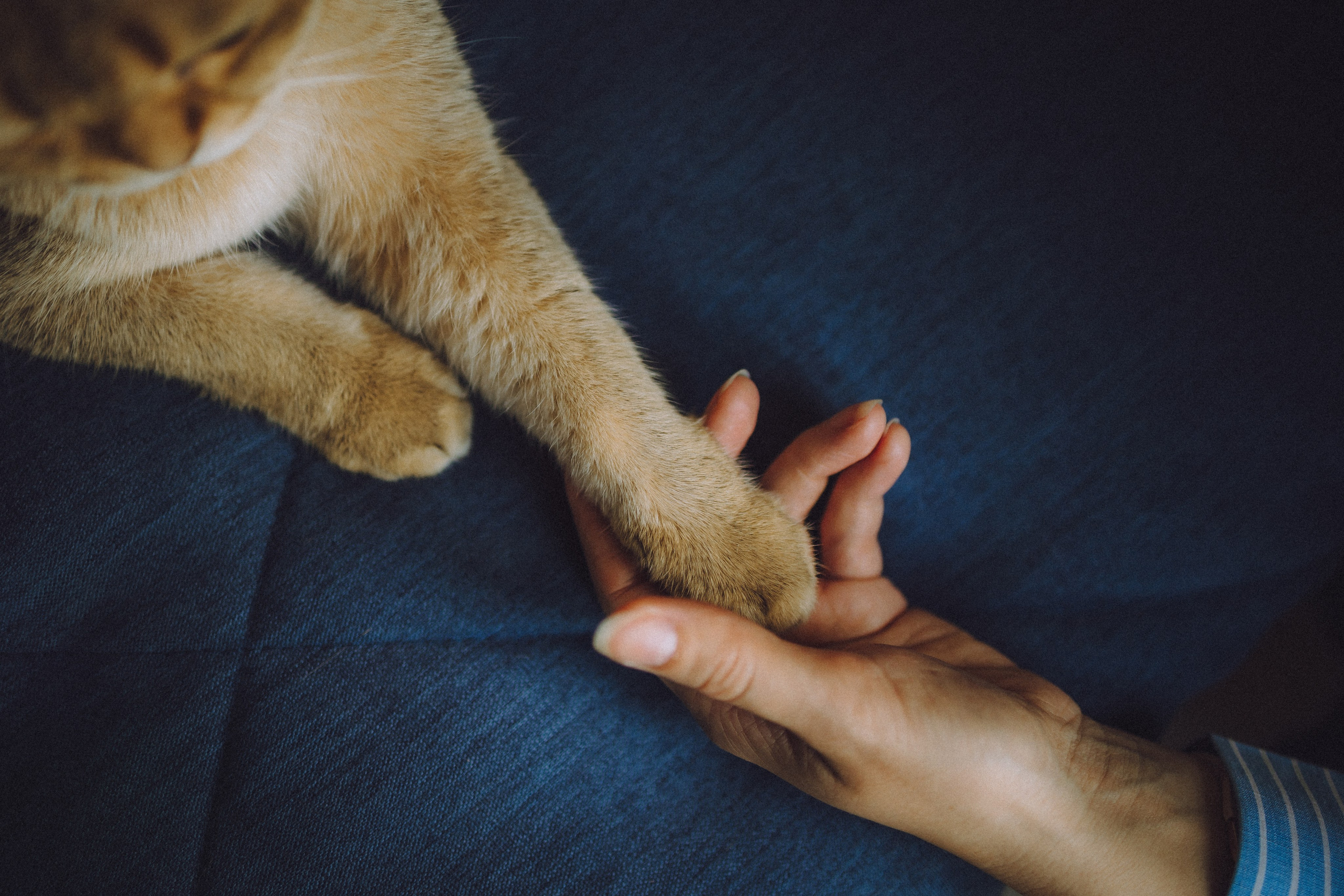 Генри и его семья