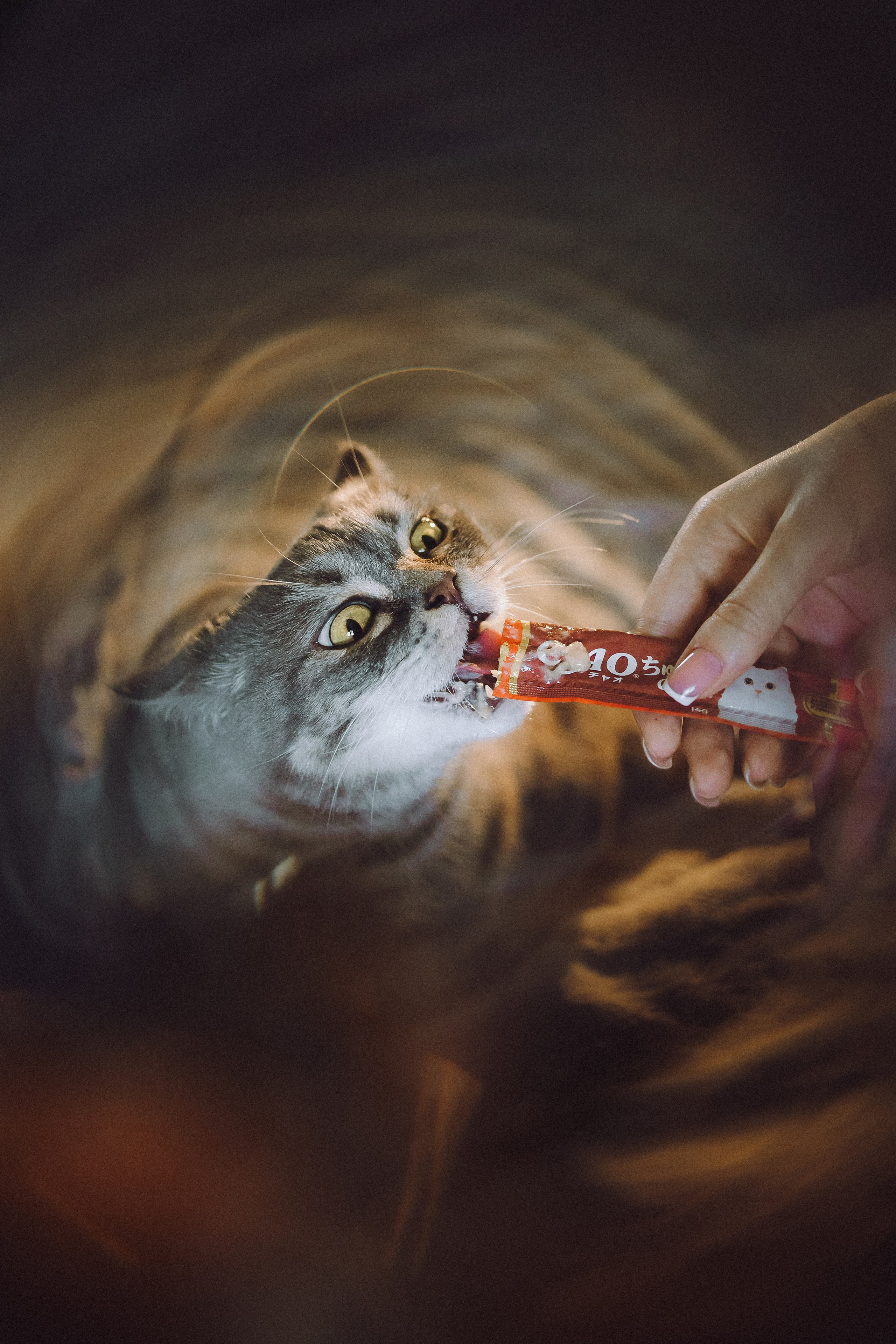 Яся и ее семья