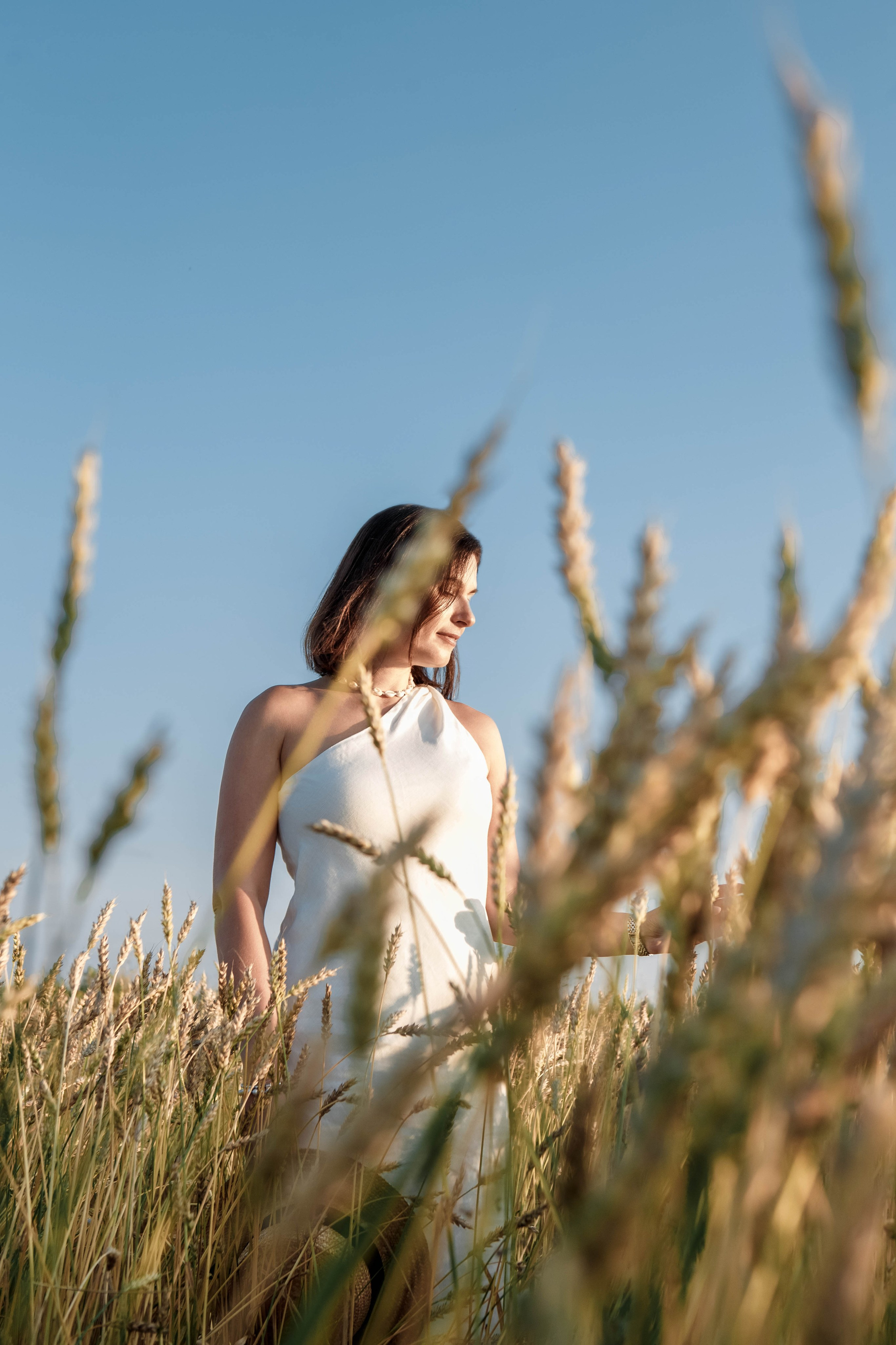 Пшеница на закате. Фотограф Екатерина Голицына