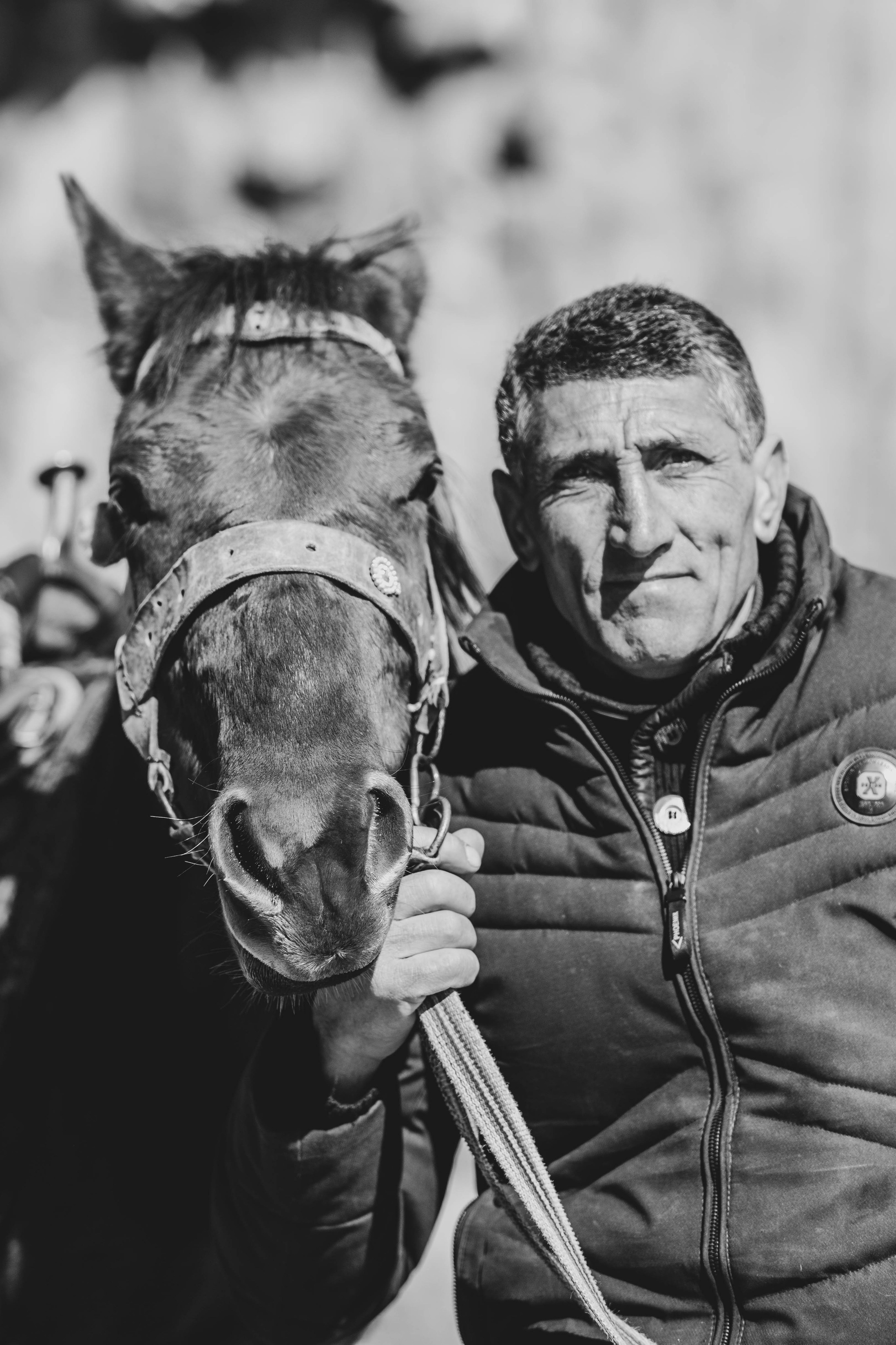 Армения. Zenizza