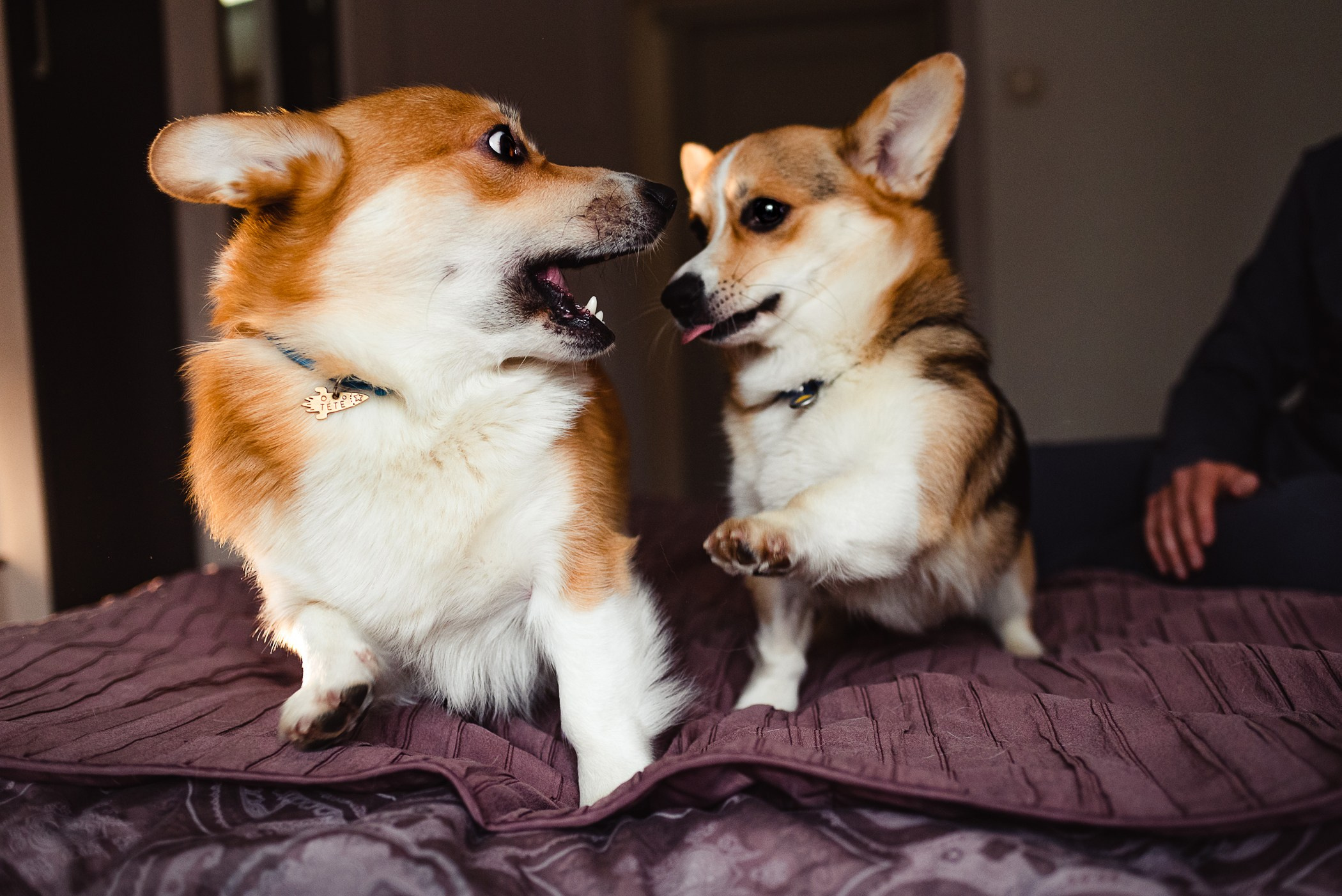Пижамная вечеринка Тани и Димы. Семейный Фотограф в Москве Ирина Хохлова