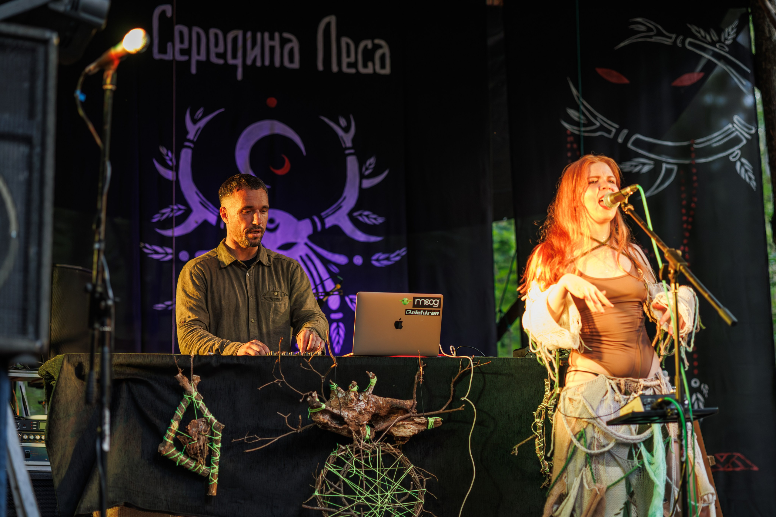 Середина Леса. Фотография Максим Данков