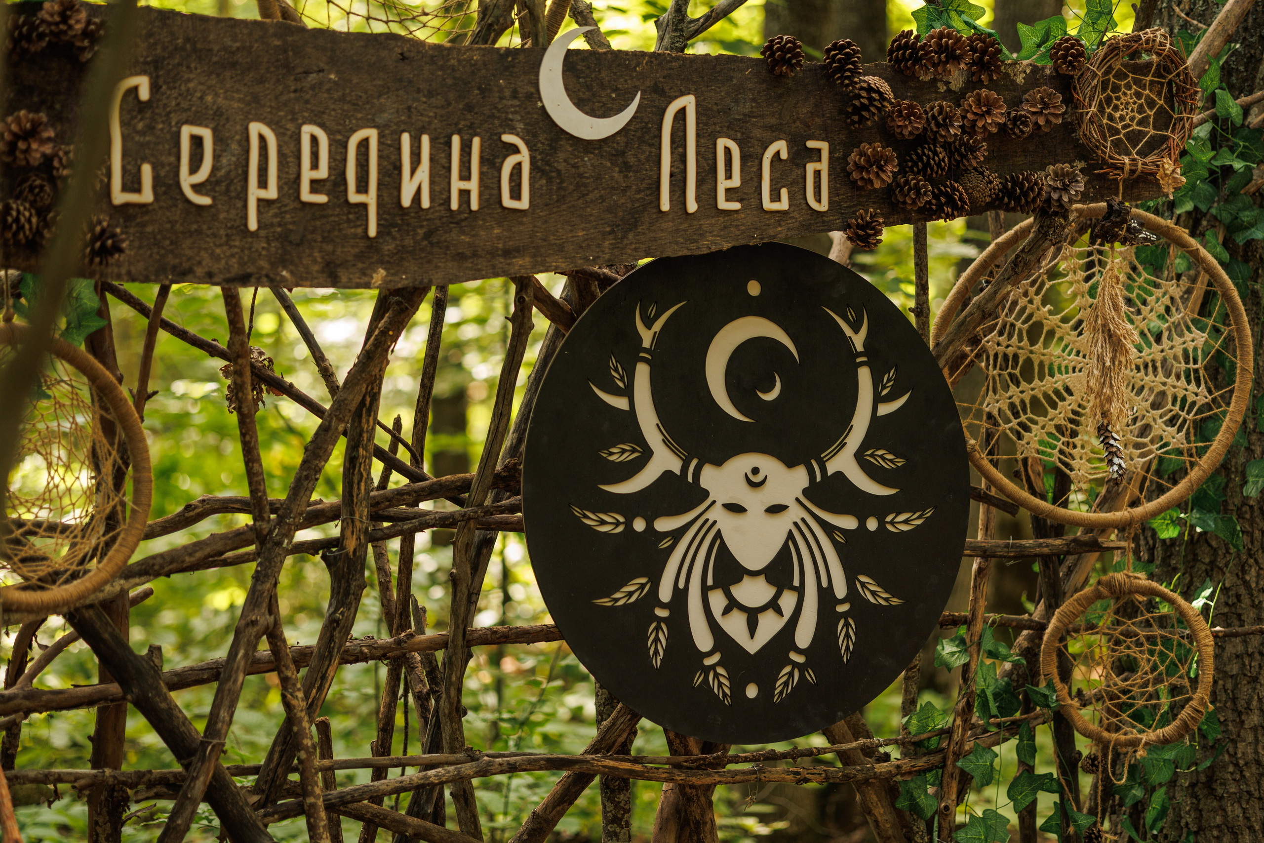 Середина Леса. Фотография Максим Данков