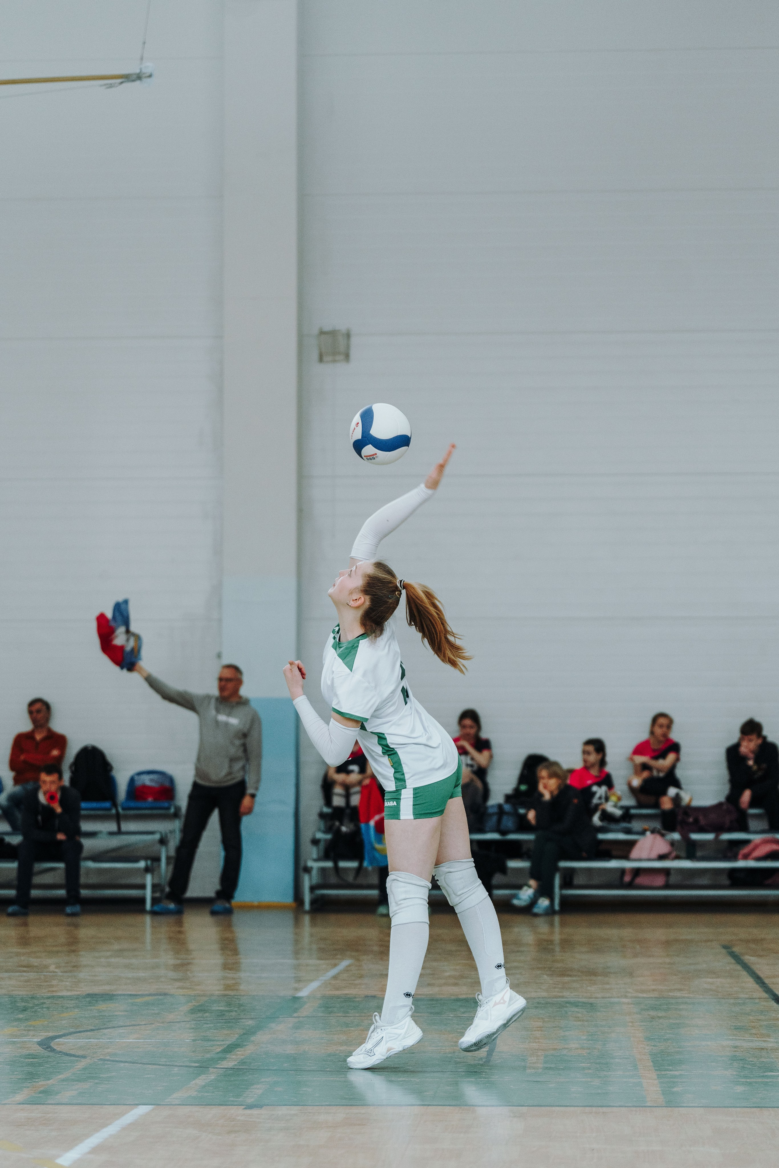 Волейбол торус. Фотограф-анималист в Санкт-Петербурге