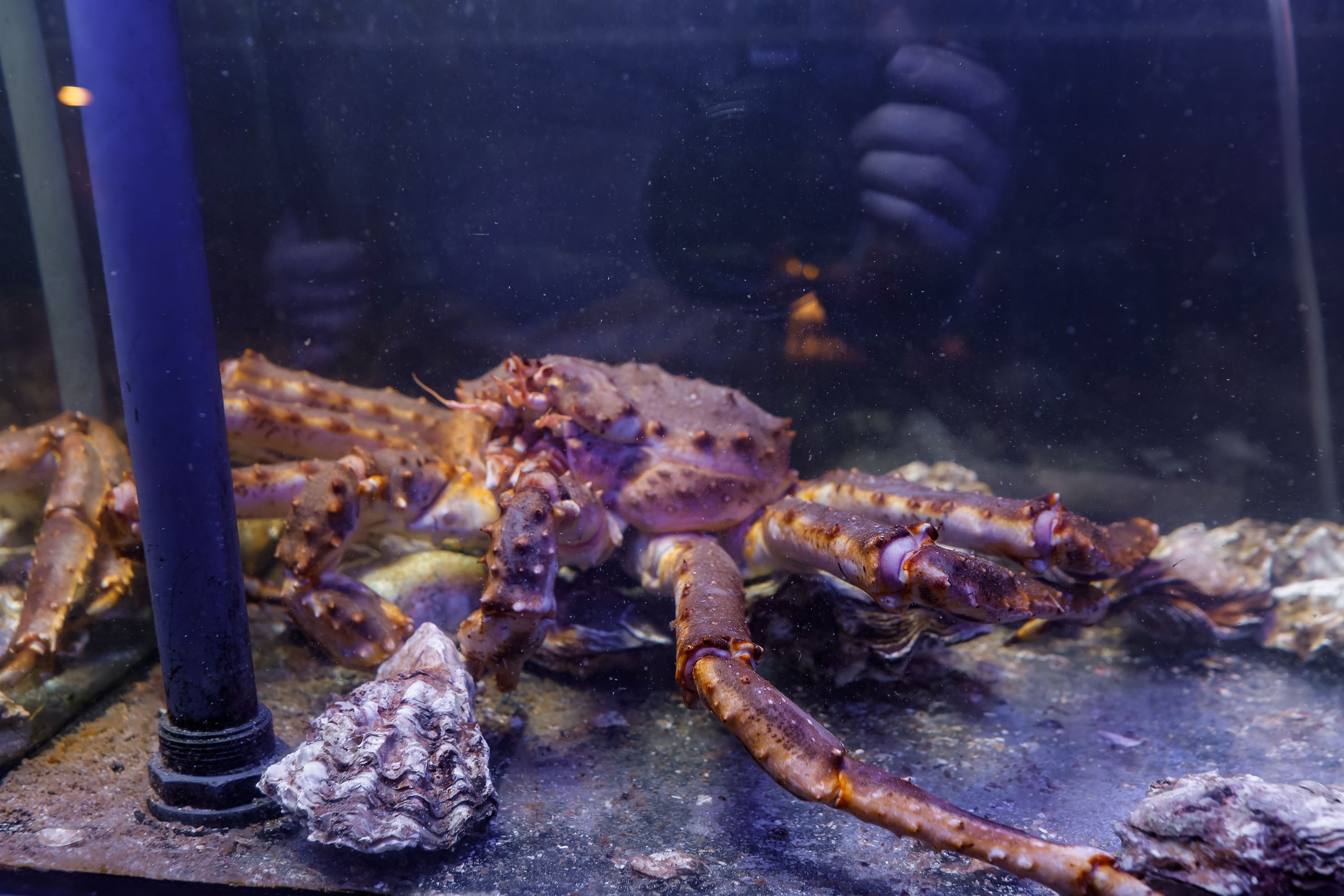 Презентация нового EXEED VX. Фотограф в Самаре Максим Тырин