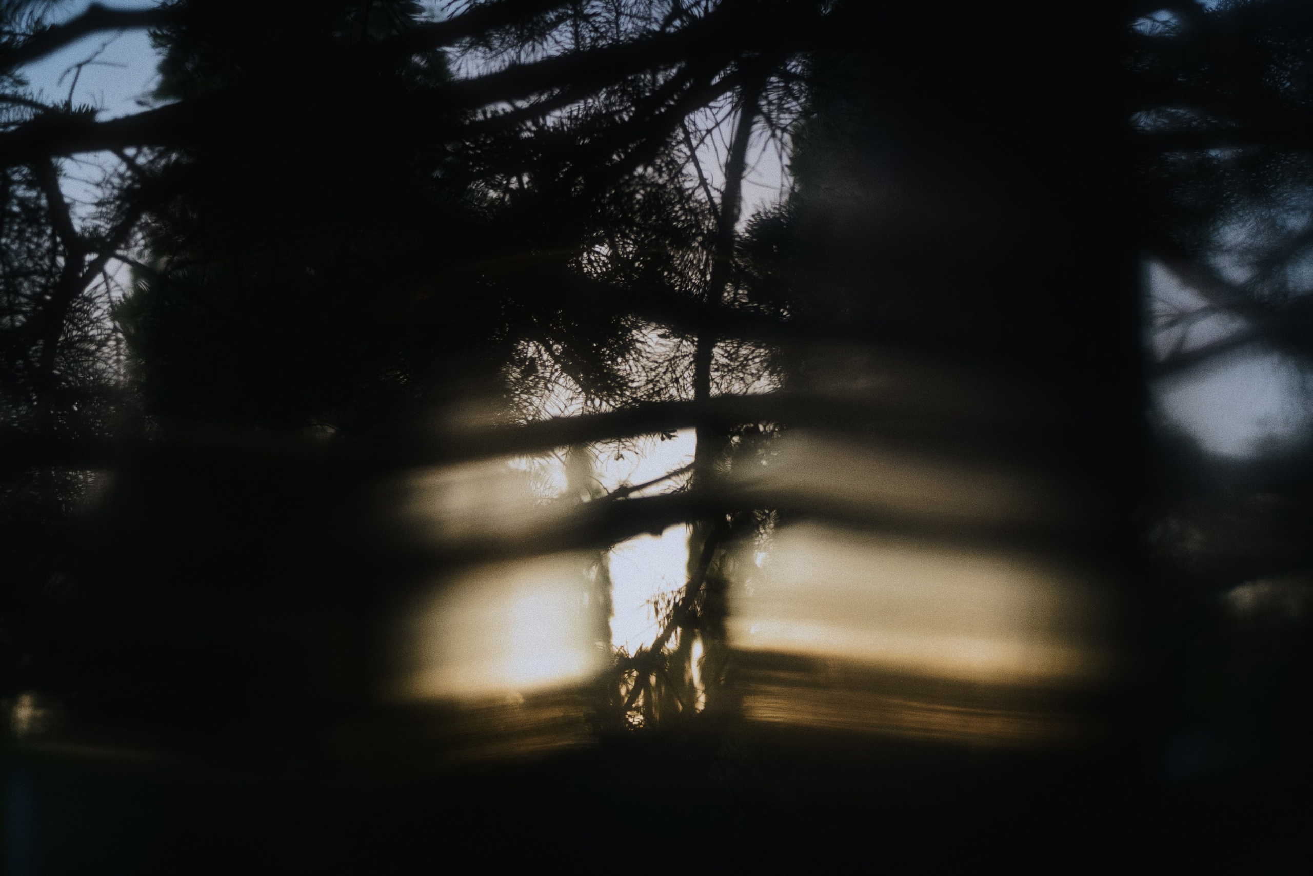 Café krasnodar. Фотограф Юрин Евгений