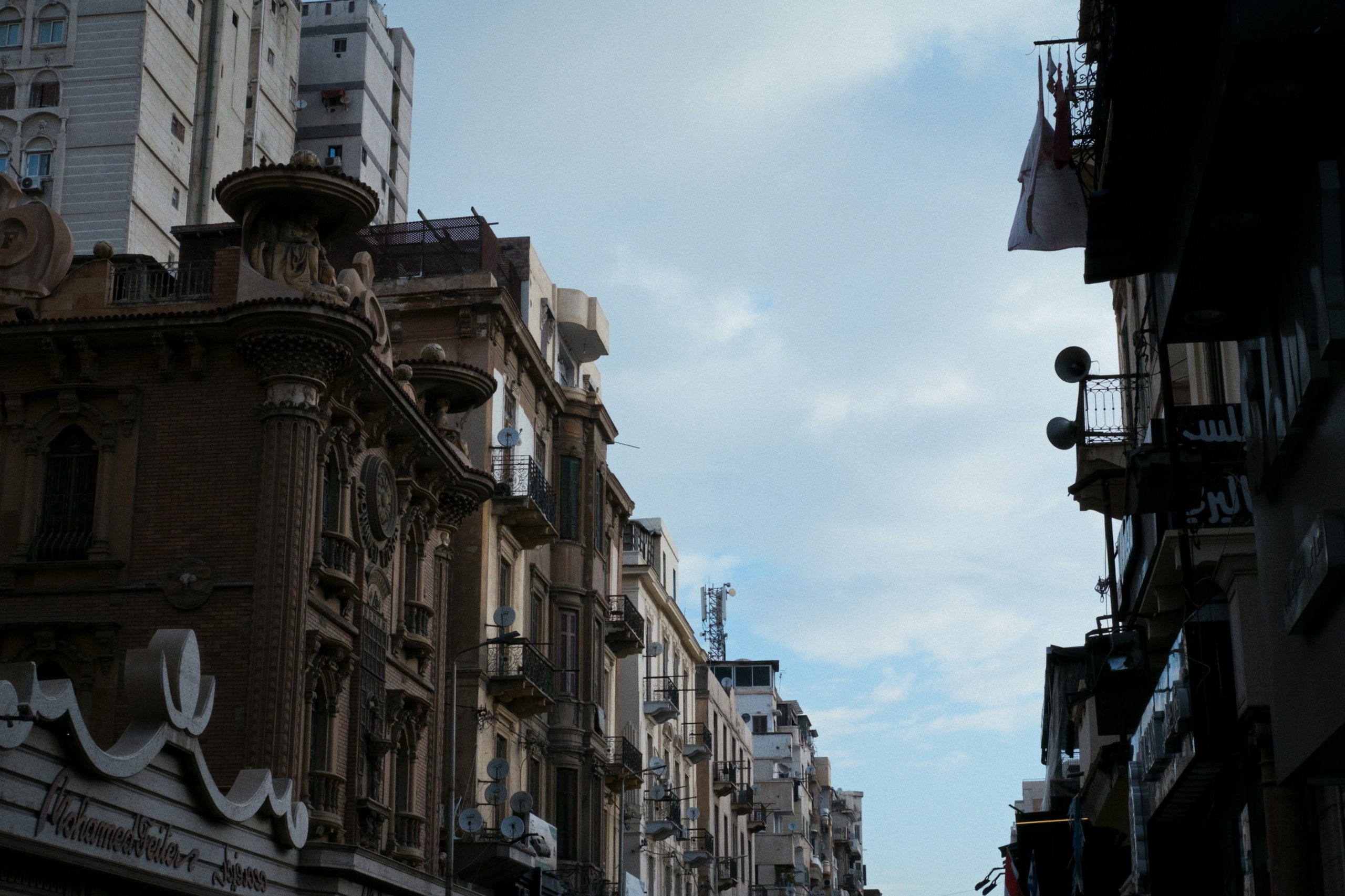 Alexandria / Egypt AW25. Фотограф Юрин Евгений