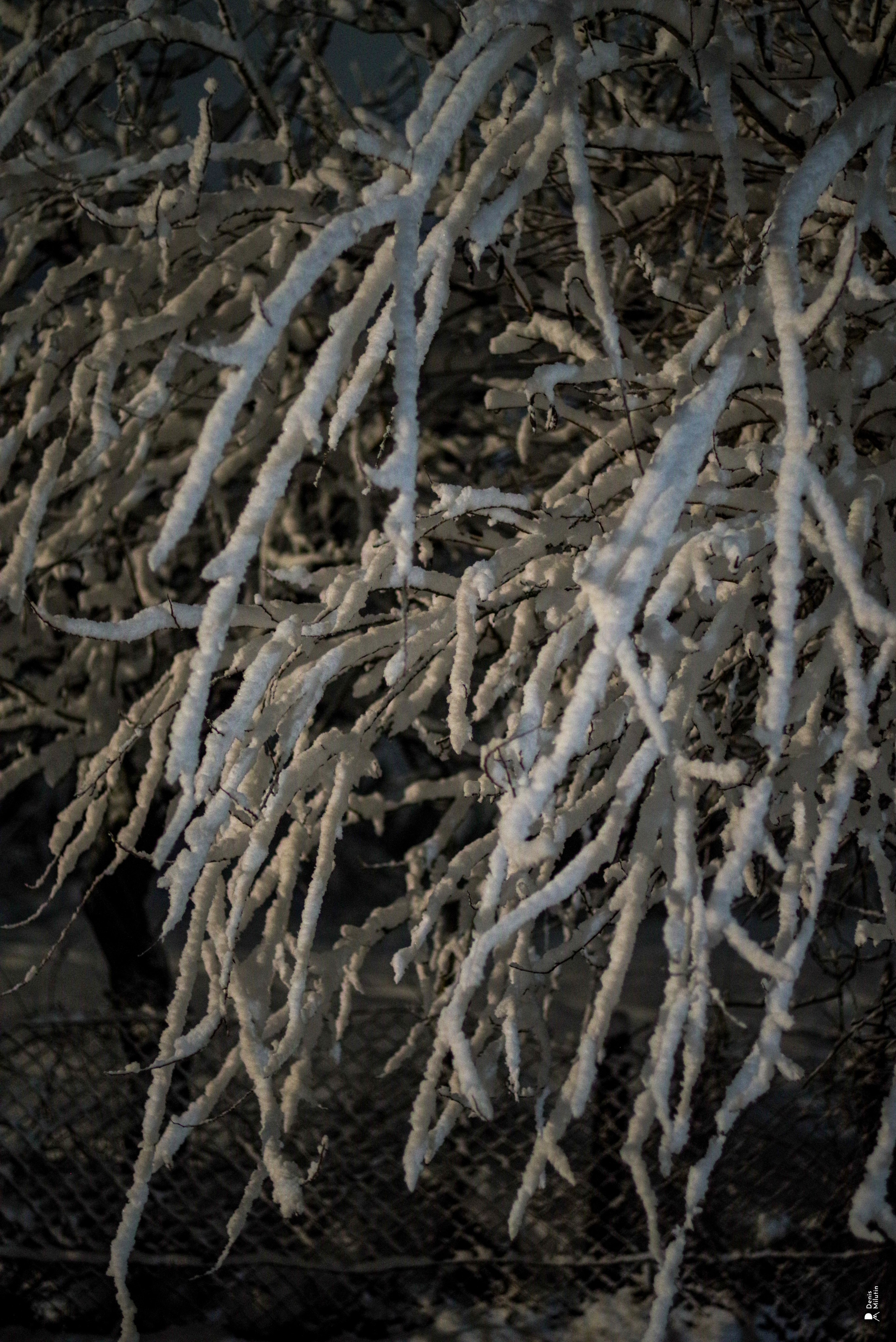 Ночь в Менджи. Портретный фотограф Денис Милютин