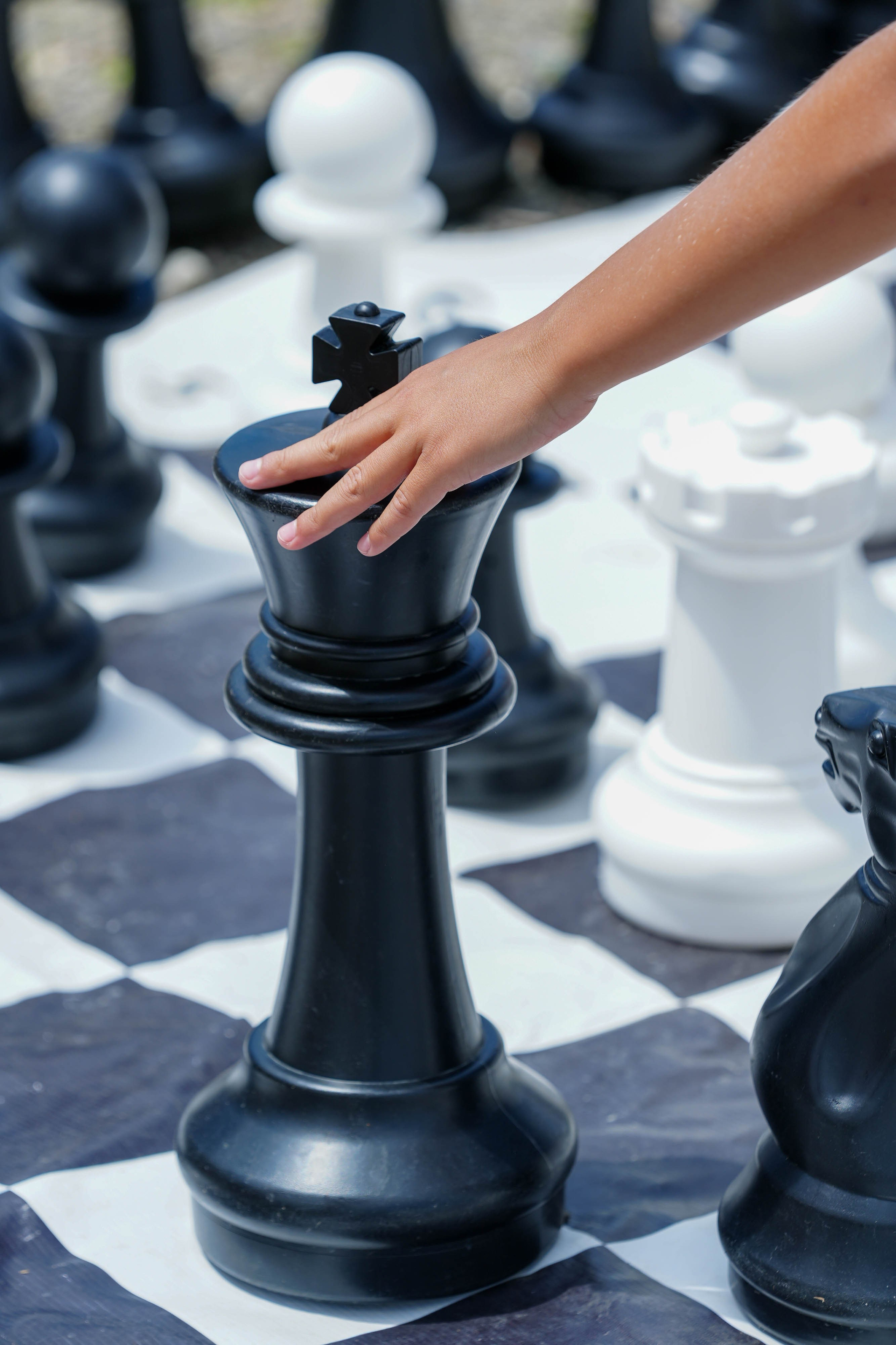 День леопарда на курорте Газпром Поляна. Репортажный фотограф в Красной Поляне и Сочи Павлюченко Екатерина