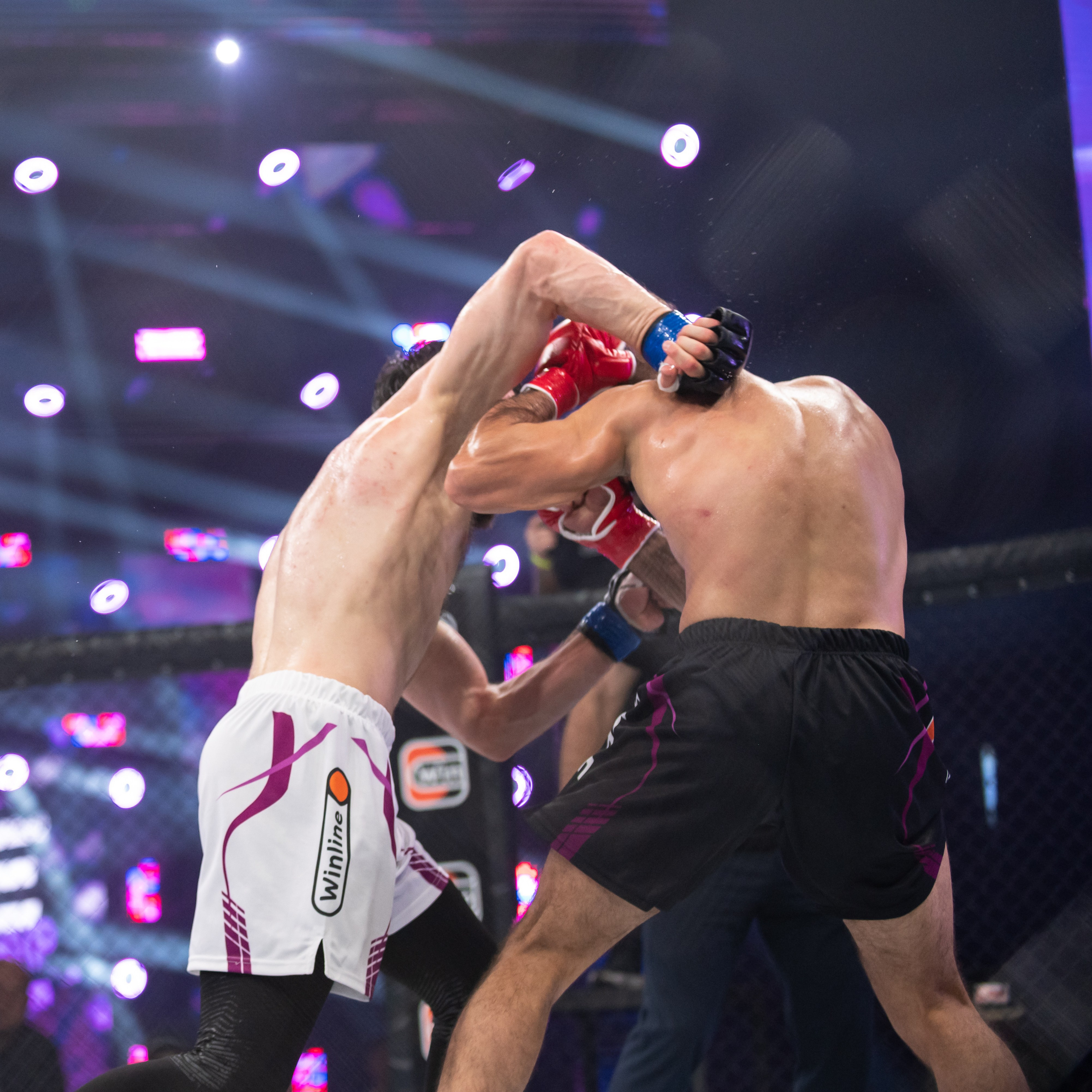 Бои. Репортажный фотограф в Красной Поляне и Сочи Павлюченко Екатерина