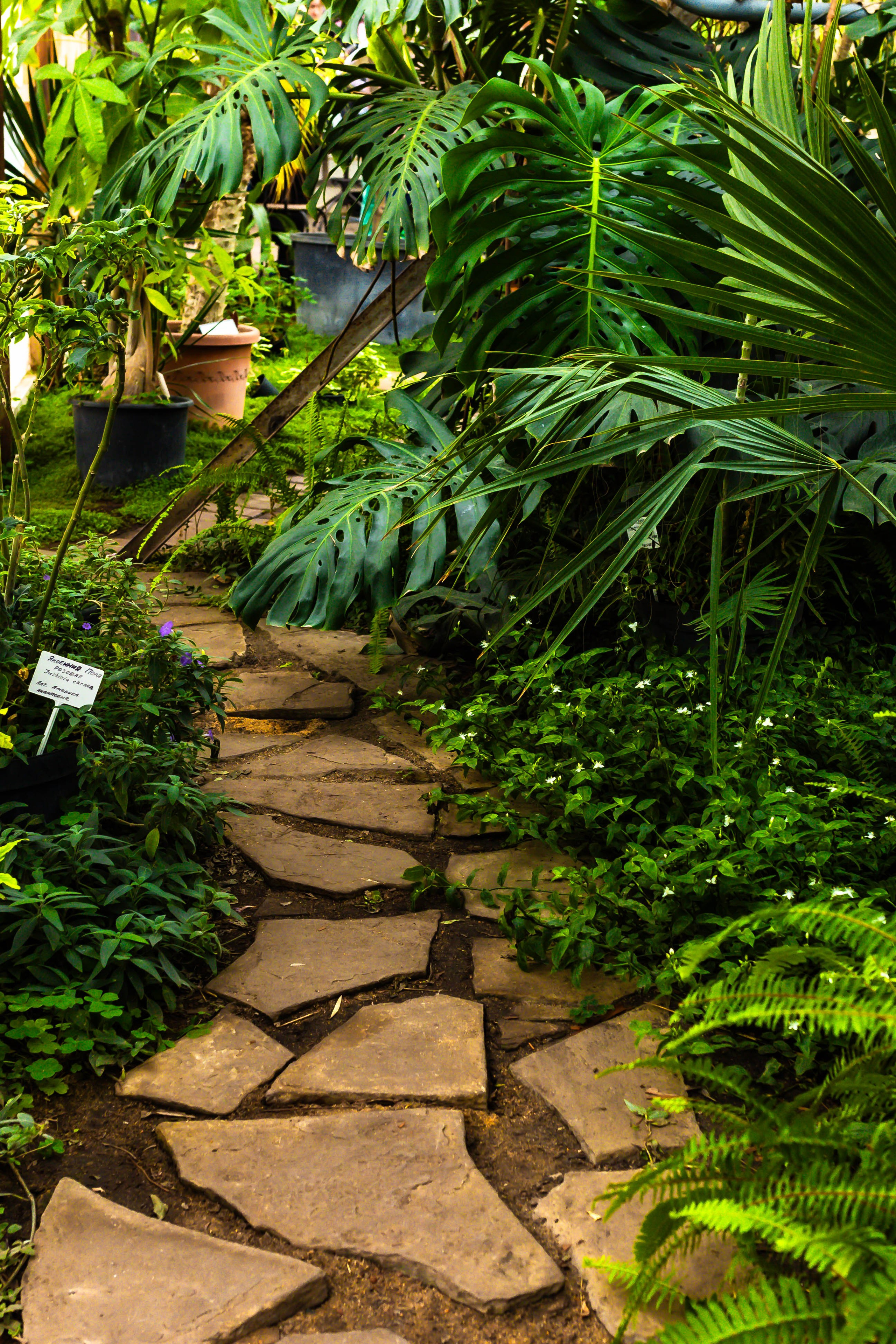 Фотографии природы Липецка. Свадебный и семейный фотограф Виолетта в Липецке