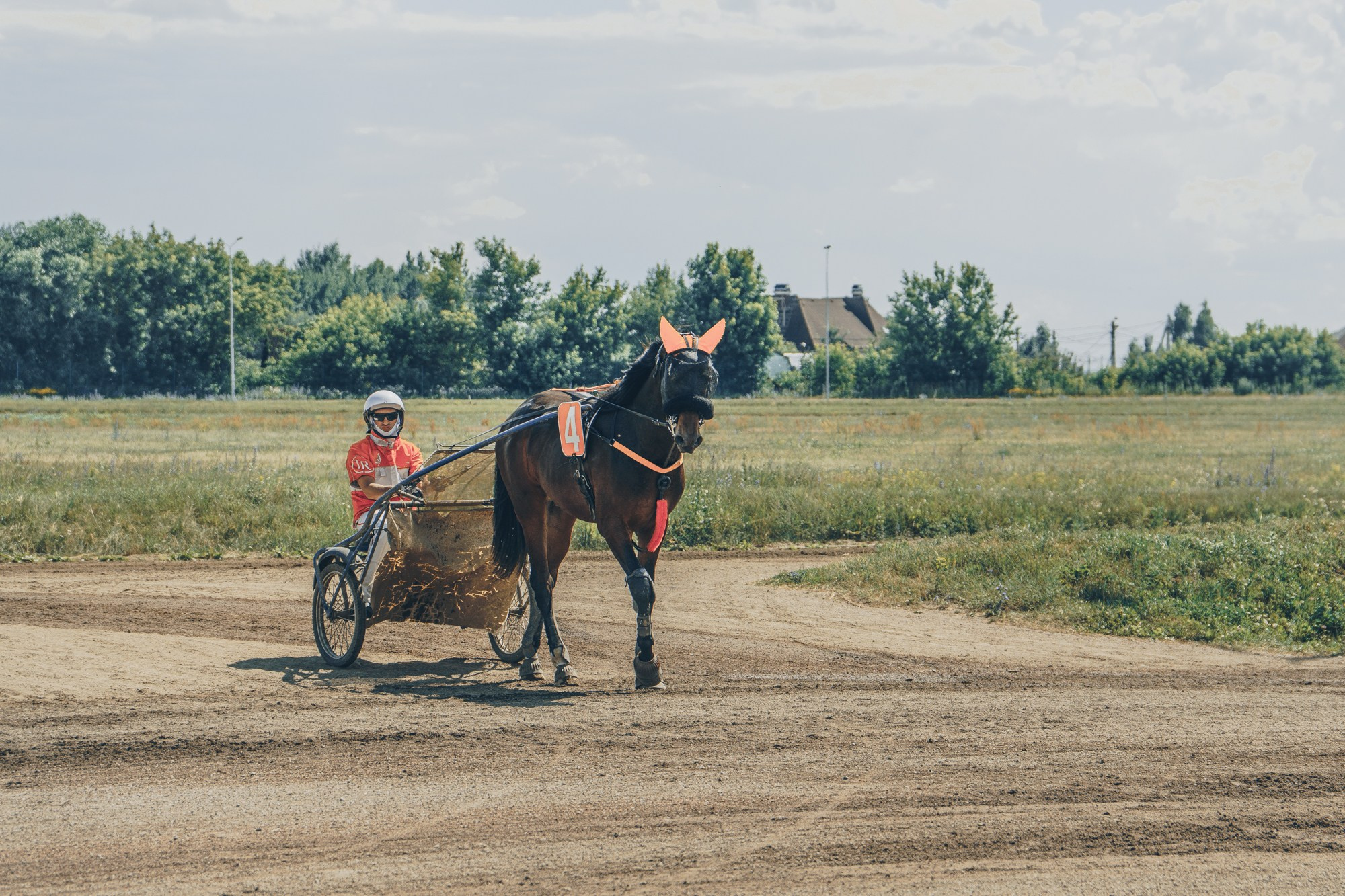Раменский ипподром. Фотограф Яна Журавская Спб / Москва