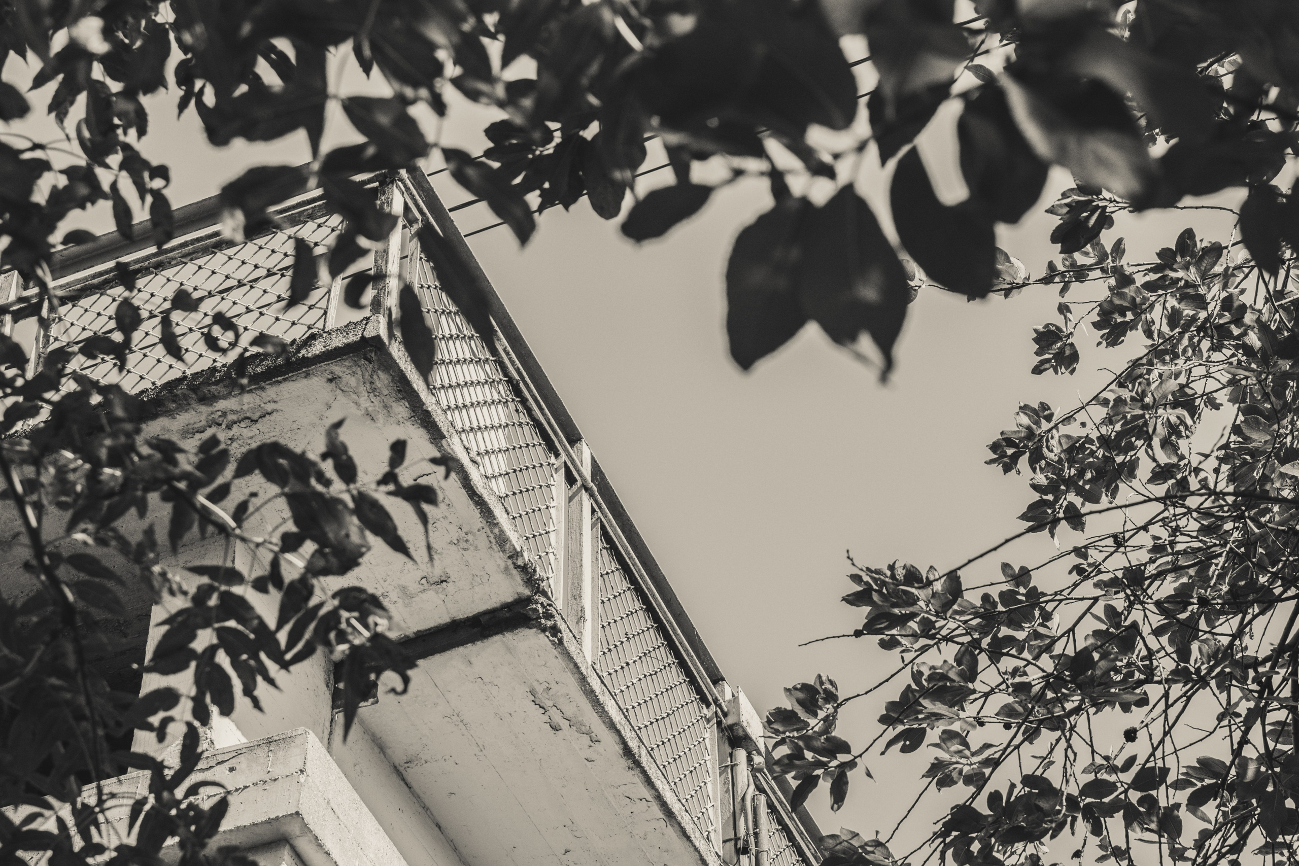 Фотопрогулка / август / СПб. Фотограф Яна Журавская Спб / Москва