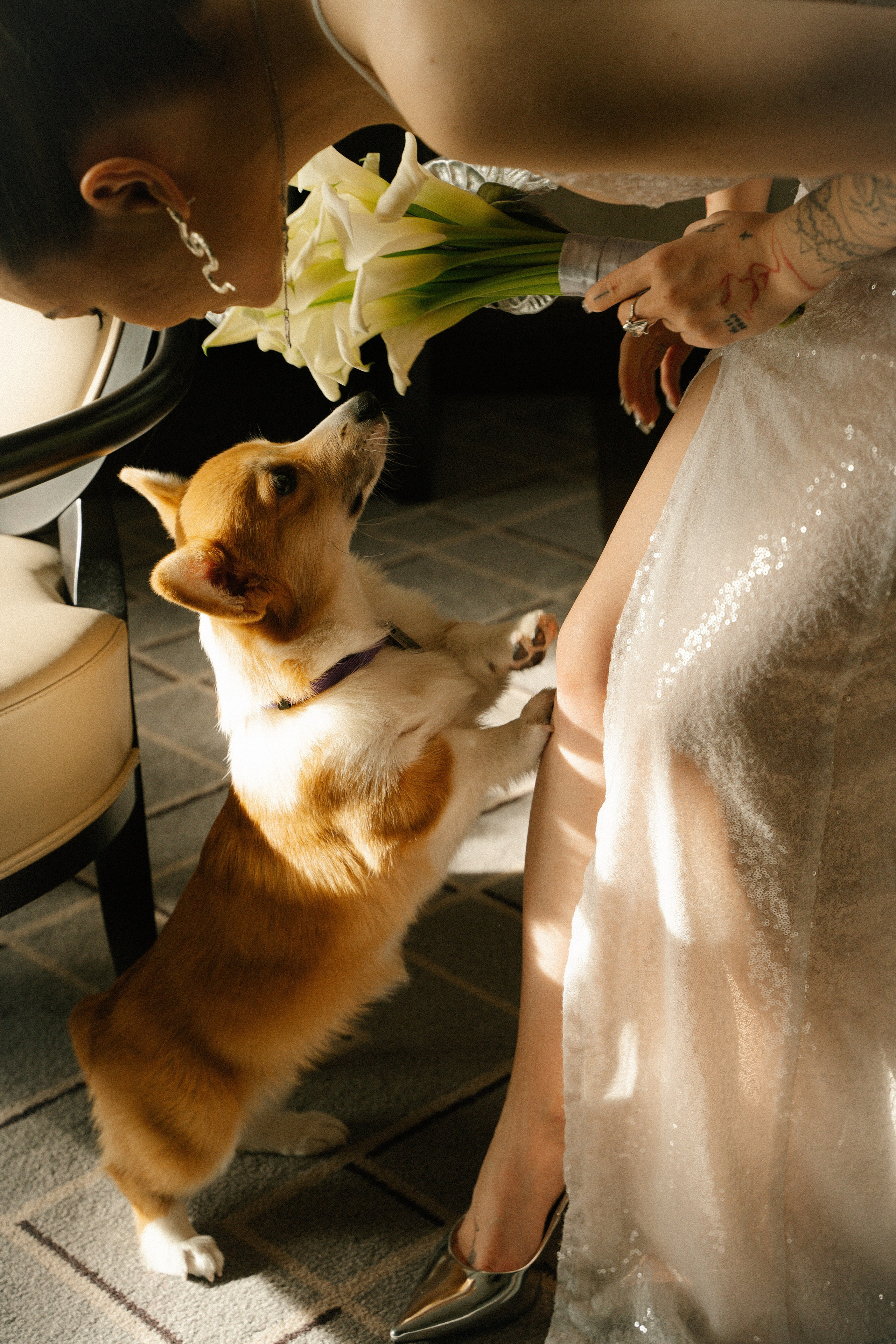 Вегас. Главная