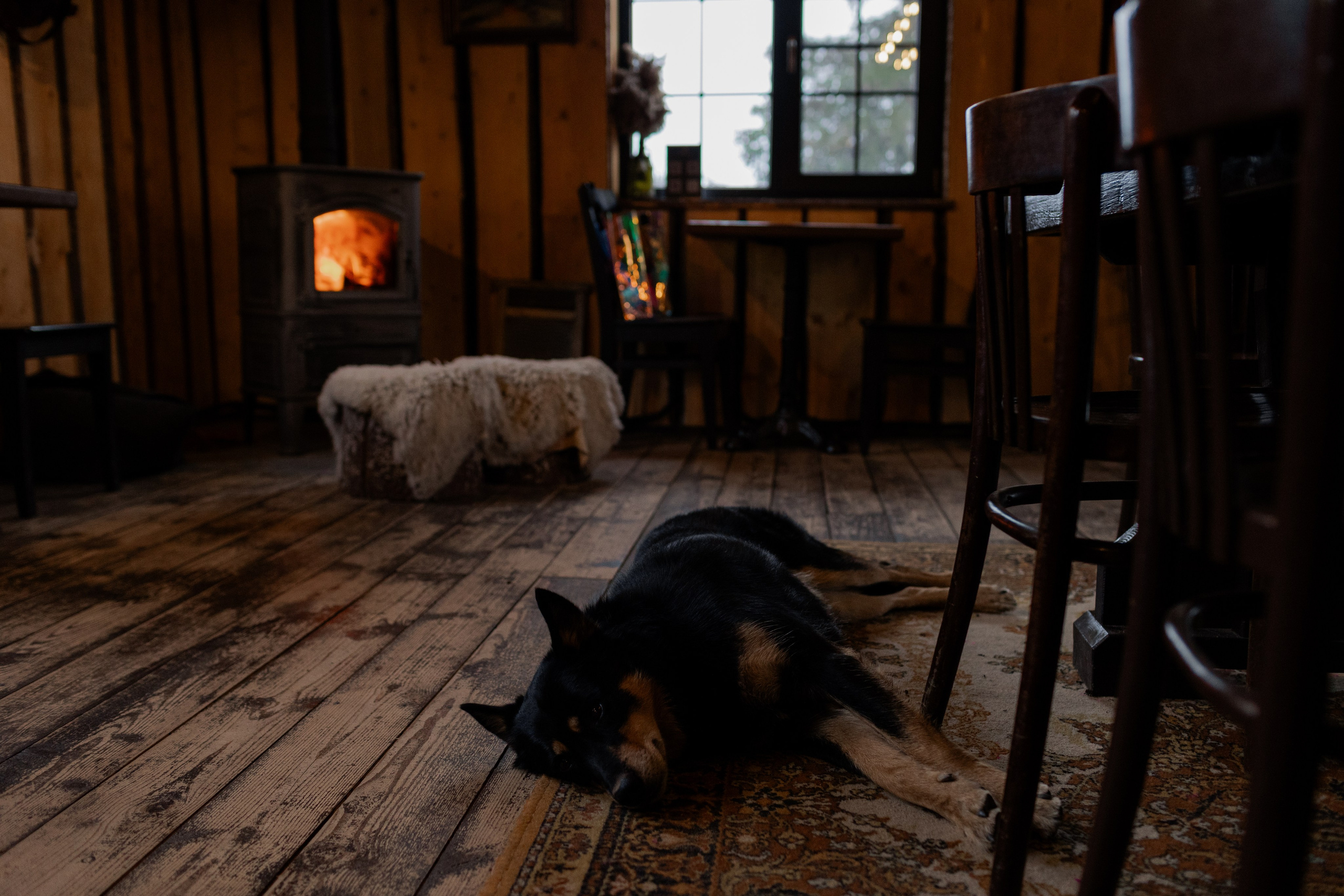 Съемка для глемпинг-отеля Хюгге Кэмп. Природа. Саша Кушнерова Фотографии. Sasha Kushnerova Photos