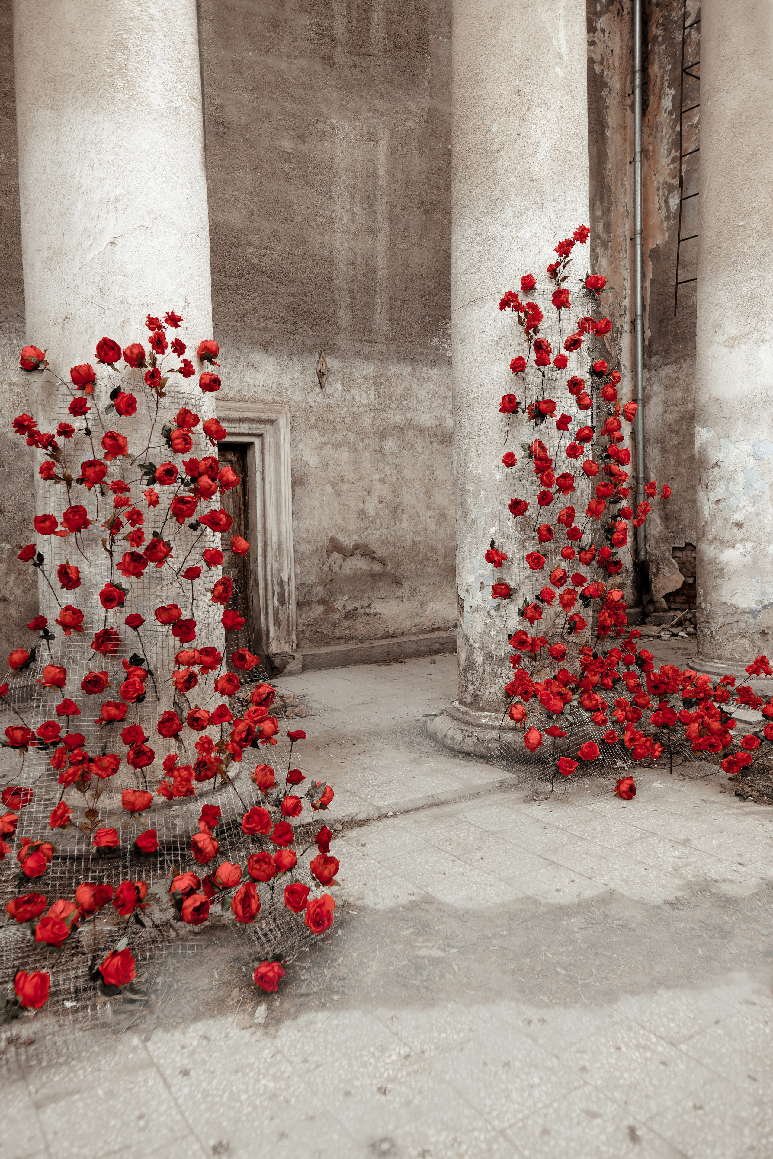 Ave Marie. Свадебный фотограф Иван Попов в Москве, Бишкеке и по всему миру!