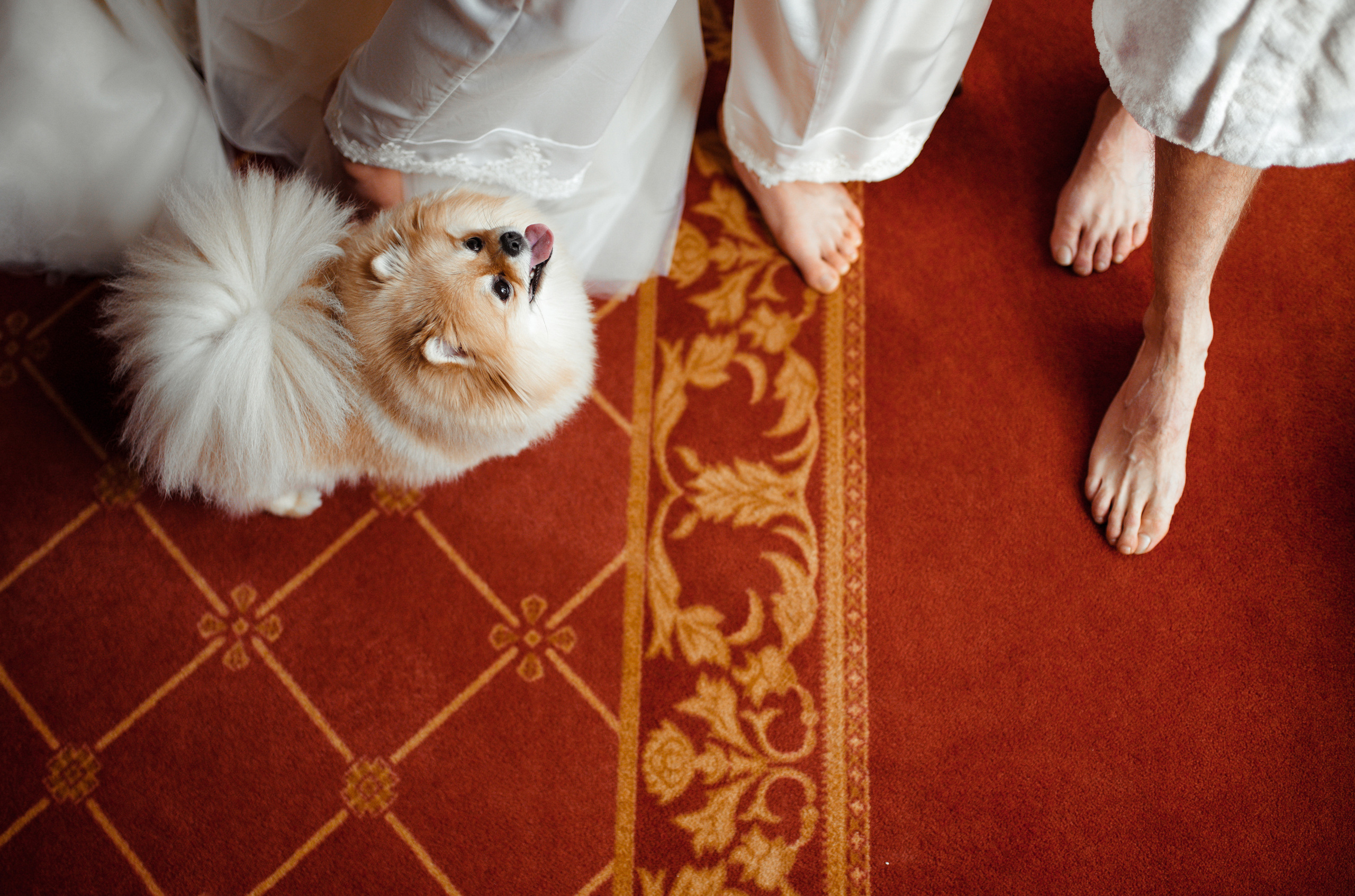 Best of 2022. Свадебный фотограф Иван Попов в Москве, Бишкеке и по всему миру!