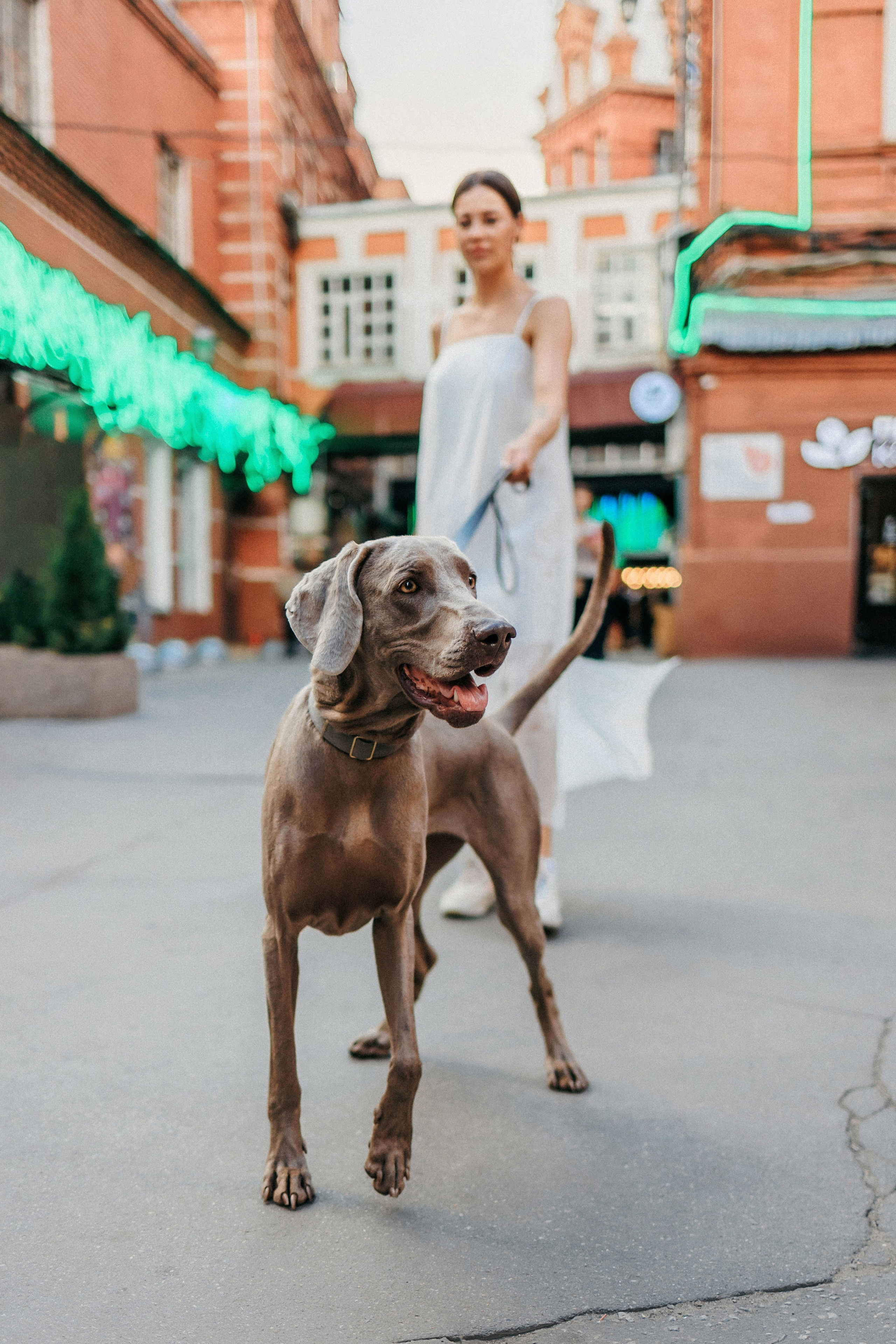 Соня и Майли. Фотограф-анималист Елена Радченко, Москва