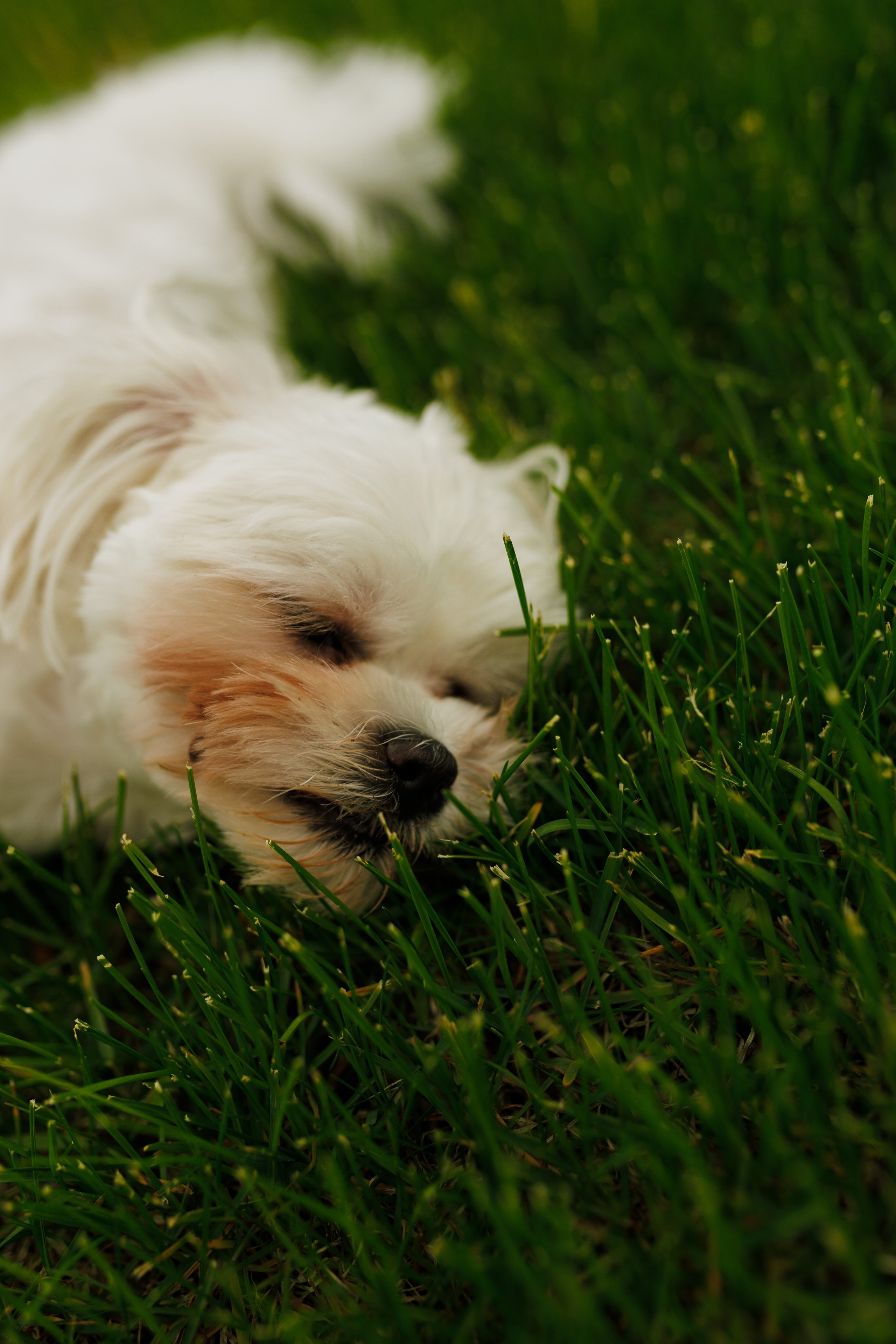 Сестры. Фотограф в Кирове Настя Шабардина