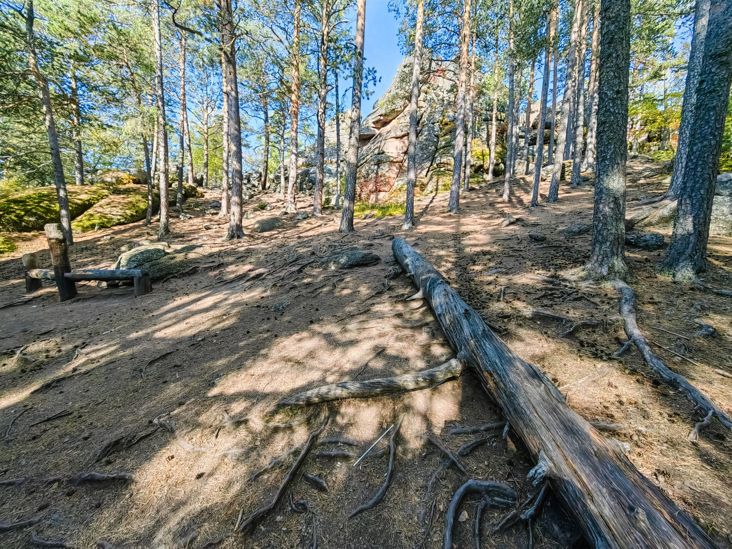Экскурсия национальный парк заповедник Красноярские столбы цена заказать забронировать фото тур интересные места достопримечательности что посмотреть где побывать в Красноярске  Туристический маршрут центральные столбы скала Перья Дед Львиные ворота первый второй столб Фотосессия фотограф Красноярск природа пейзаж аэросъёмка с FPV дрона квадрокоптера