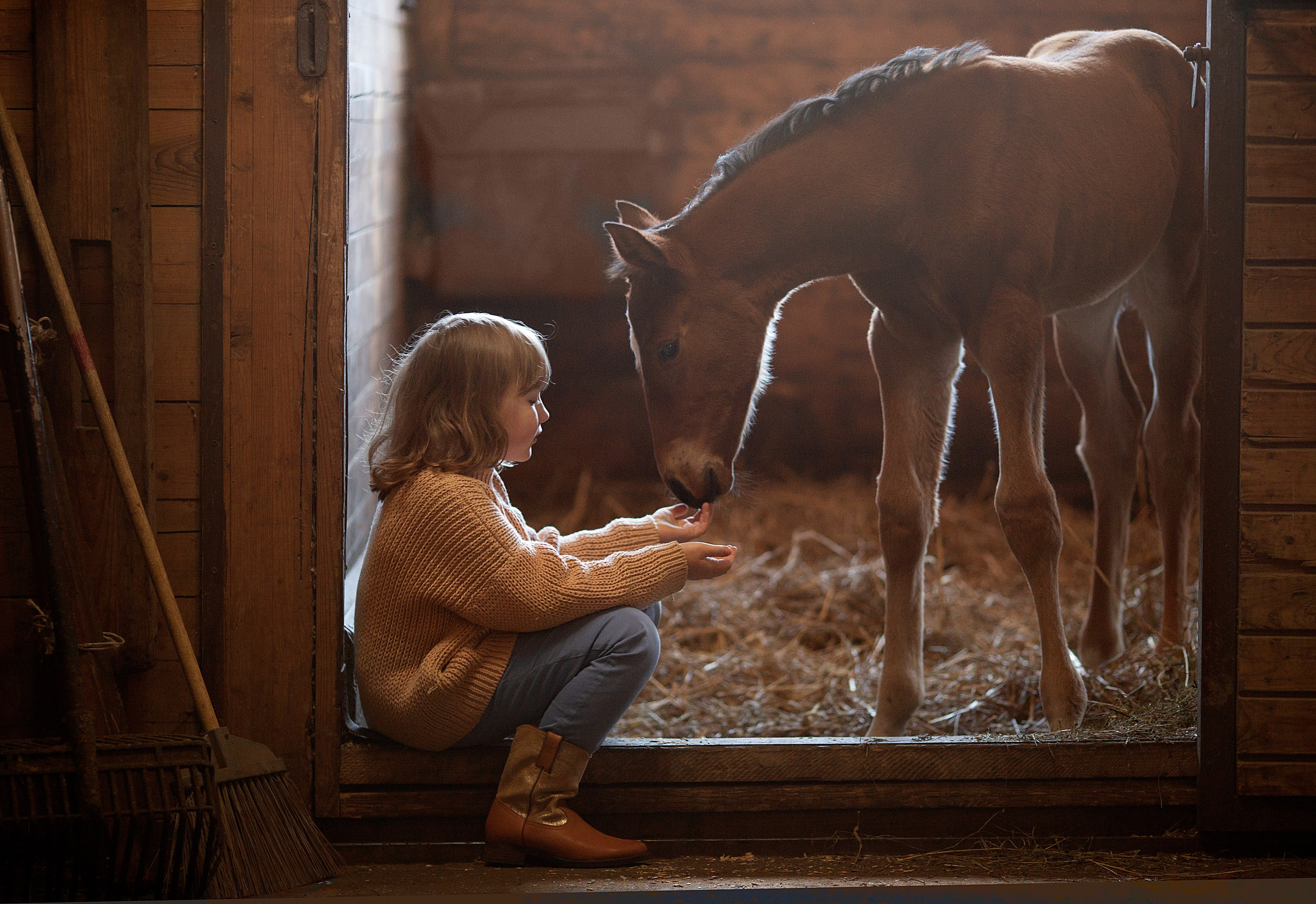 Портфолио. Карнеева Елена. Детский, семейный фотограф