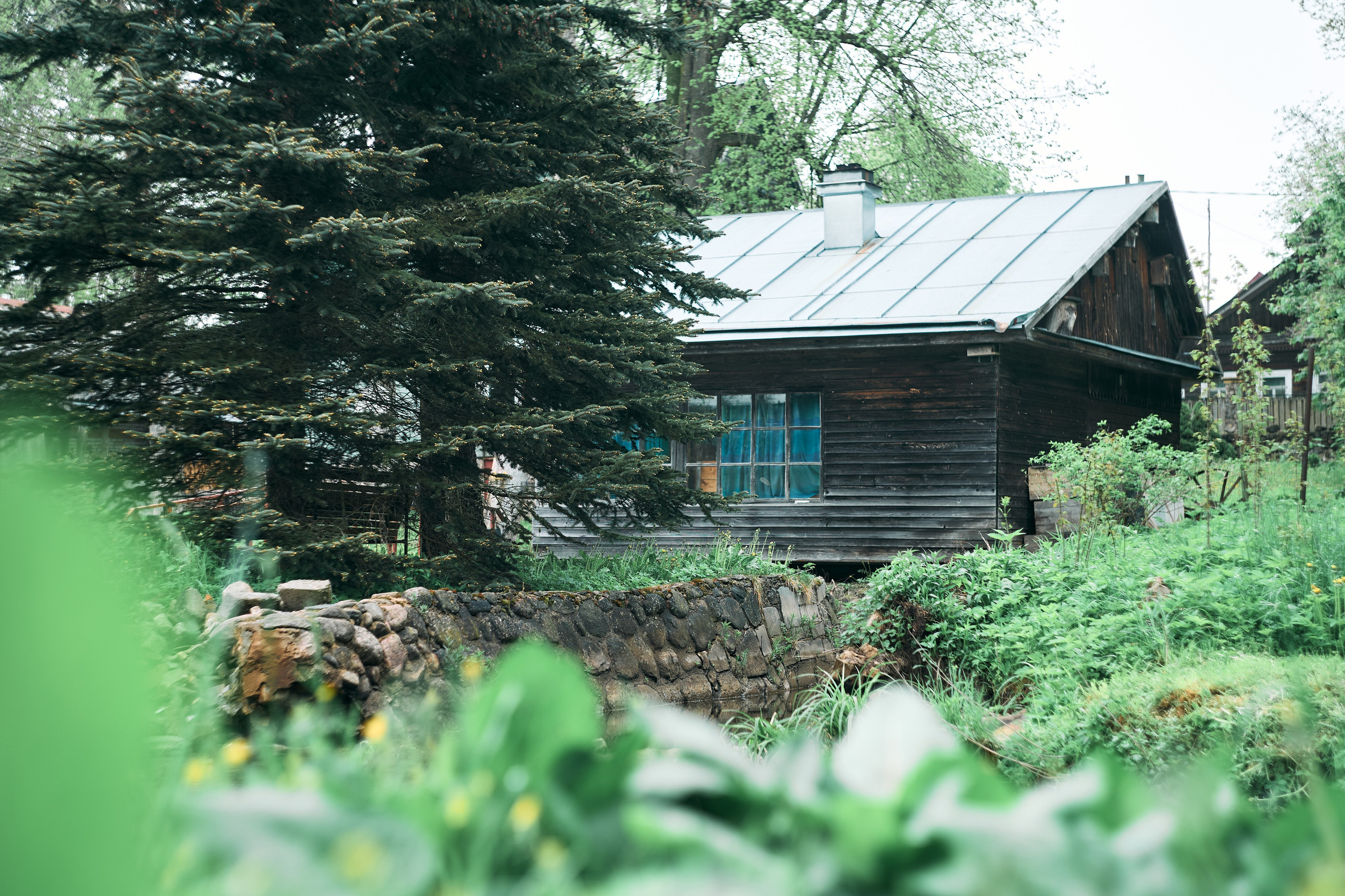 Лампово. Фотограф в Санкт-Петербурге