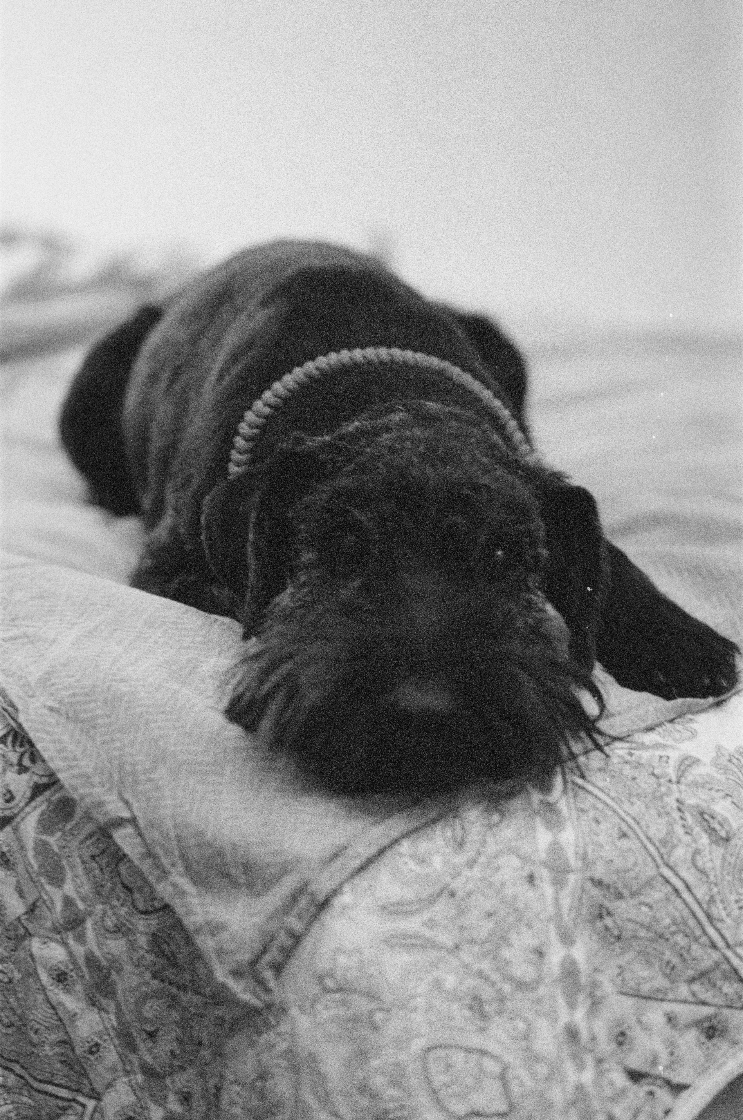 Плёнка. Человек в Шляпе