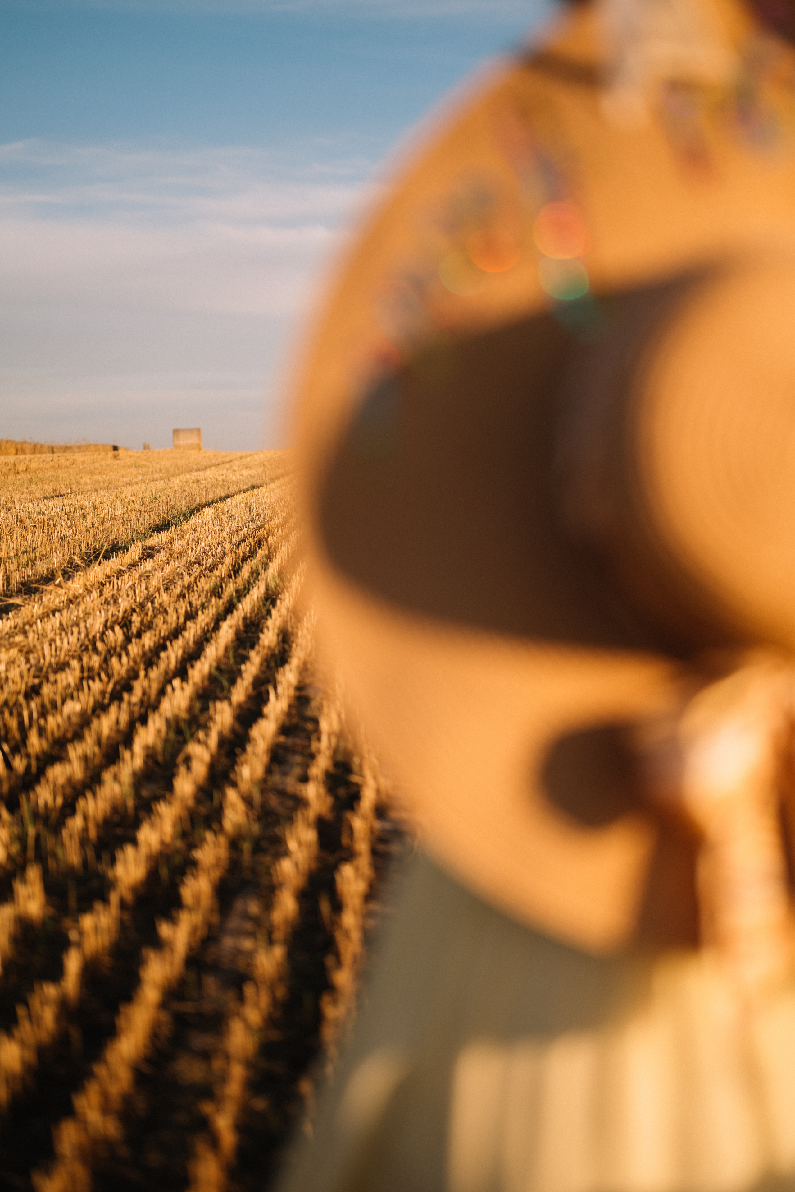 Таня — в ожидании чуда. На закате в поле. Семейный фотограф в Минске Дарья Дреко