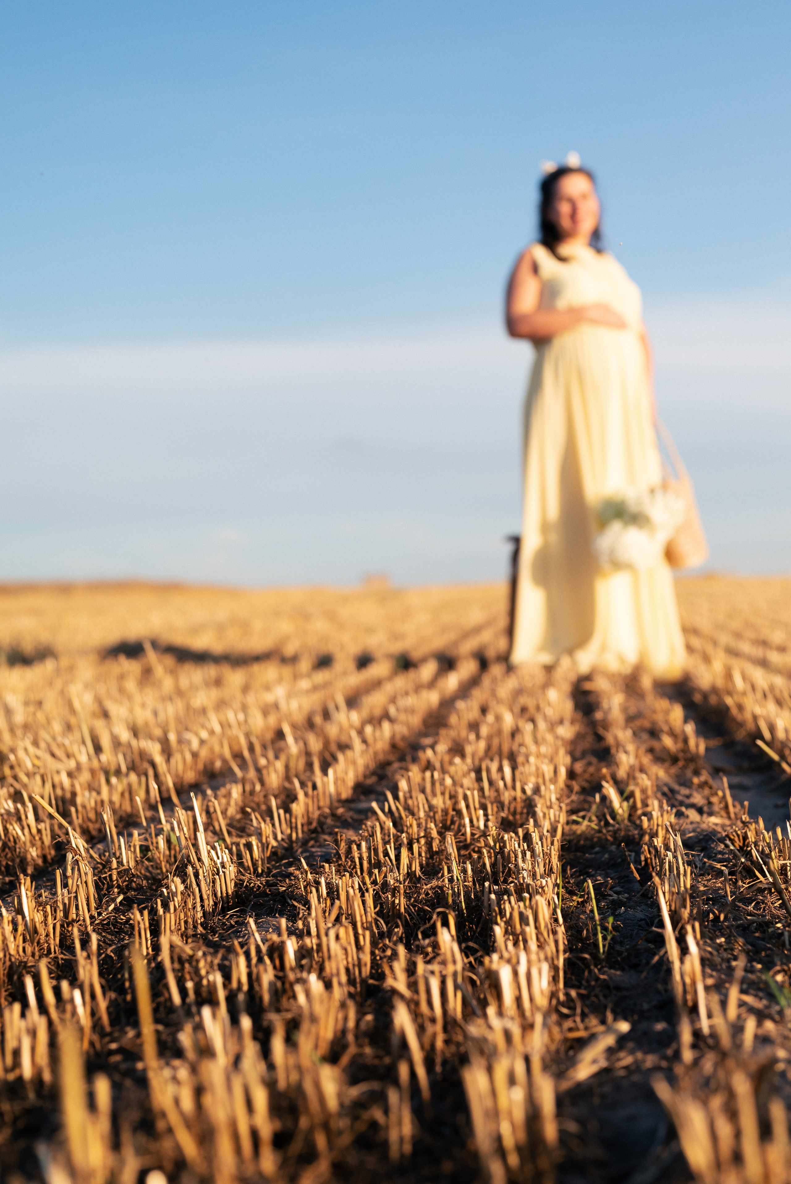 Таня — в ожидании чуда. На закате в поле. Семейный фотограф в Минске Дарья Дреко
