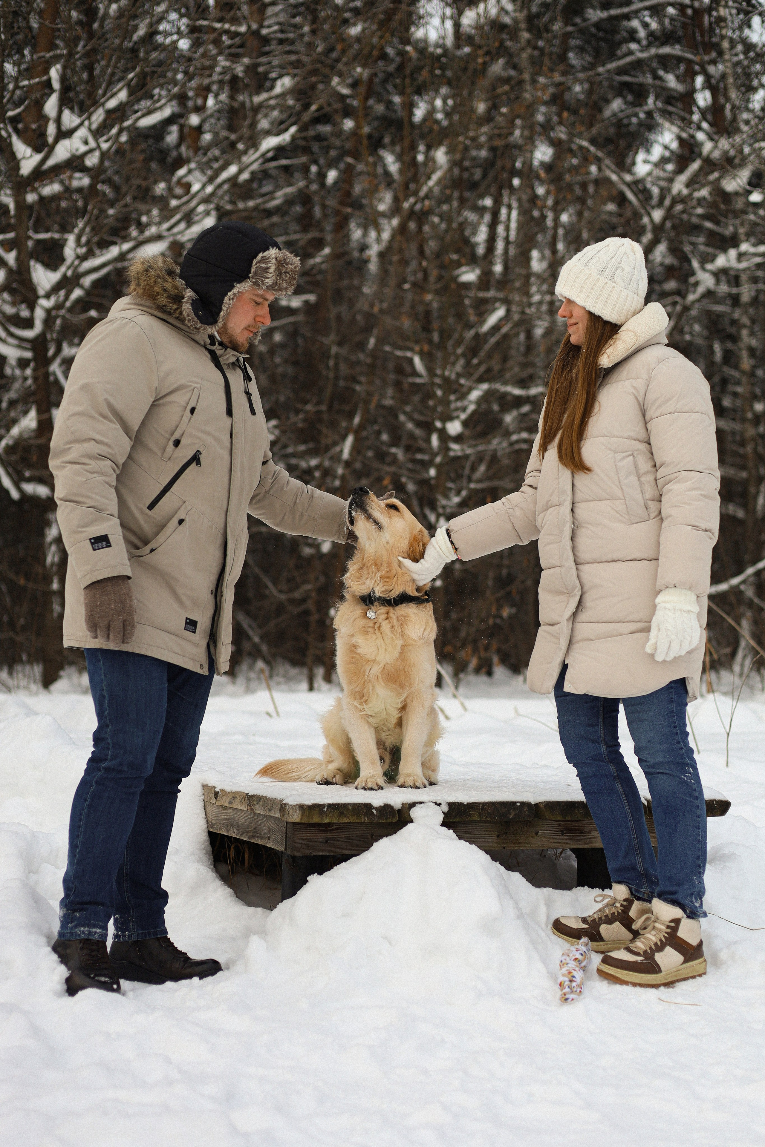 Стивен, Лена и Миша. Фотограф-анималист Ксения Шевцова|Москва