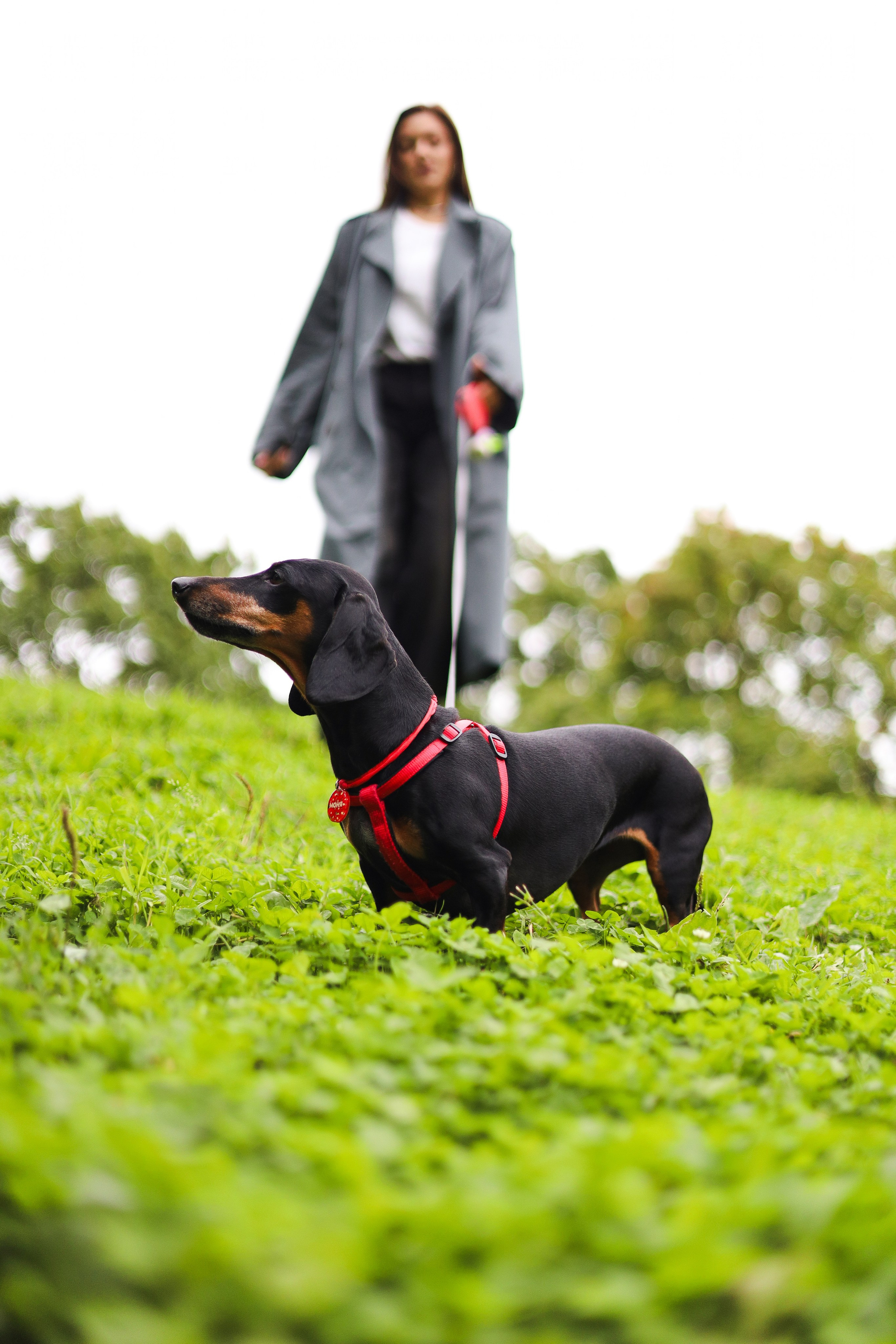 Моня и Оля. Фотограф-анималист Ксения Шевцова|Москва