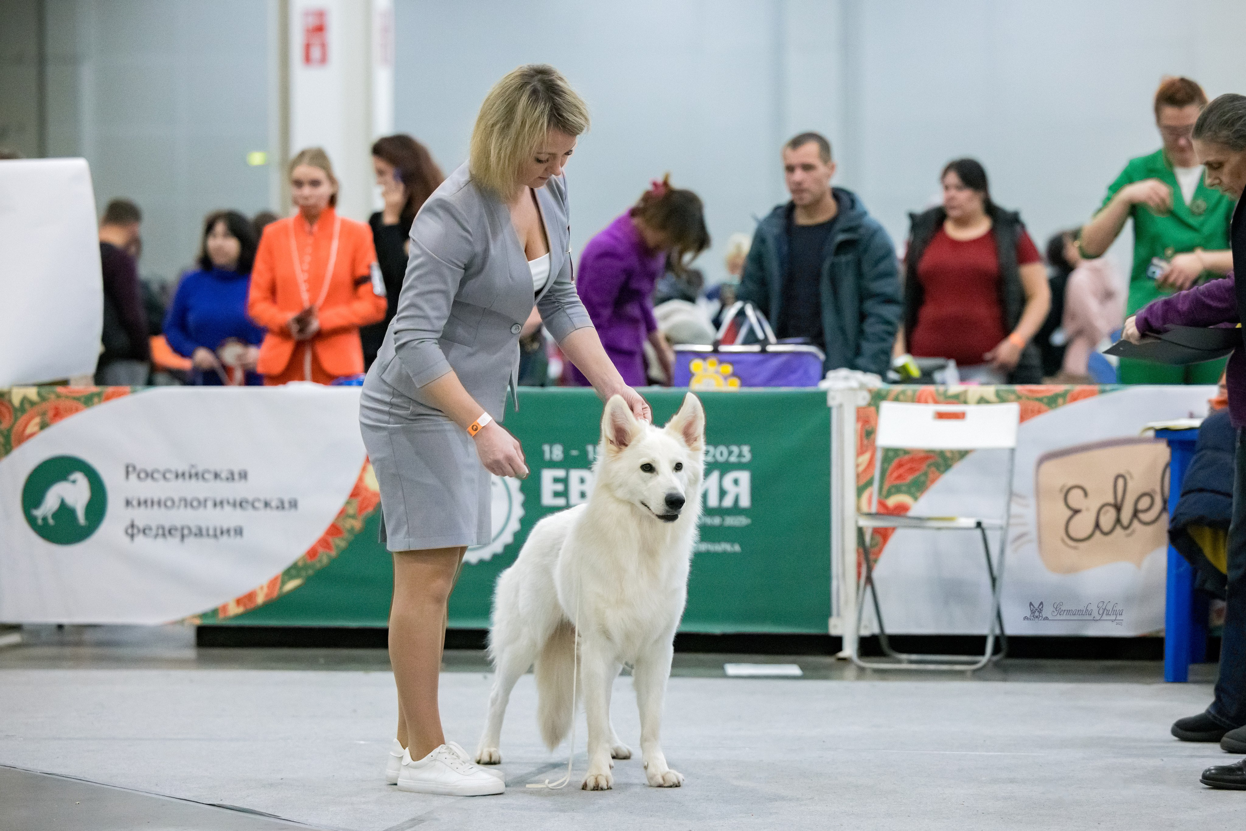 ЕВРАЗИЯ 18-19.11.2023. Фотограф-анималист Юлия Германика