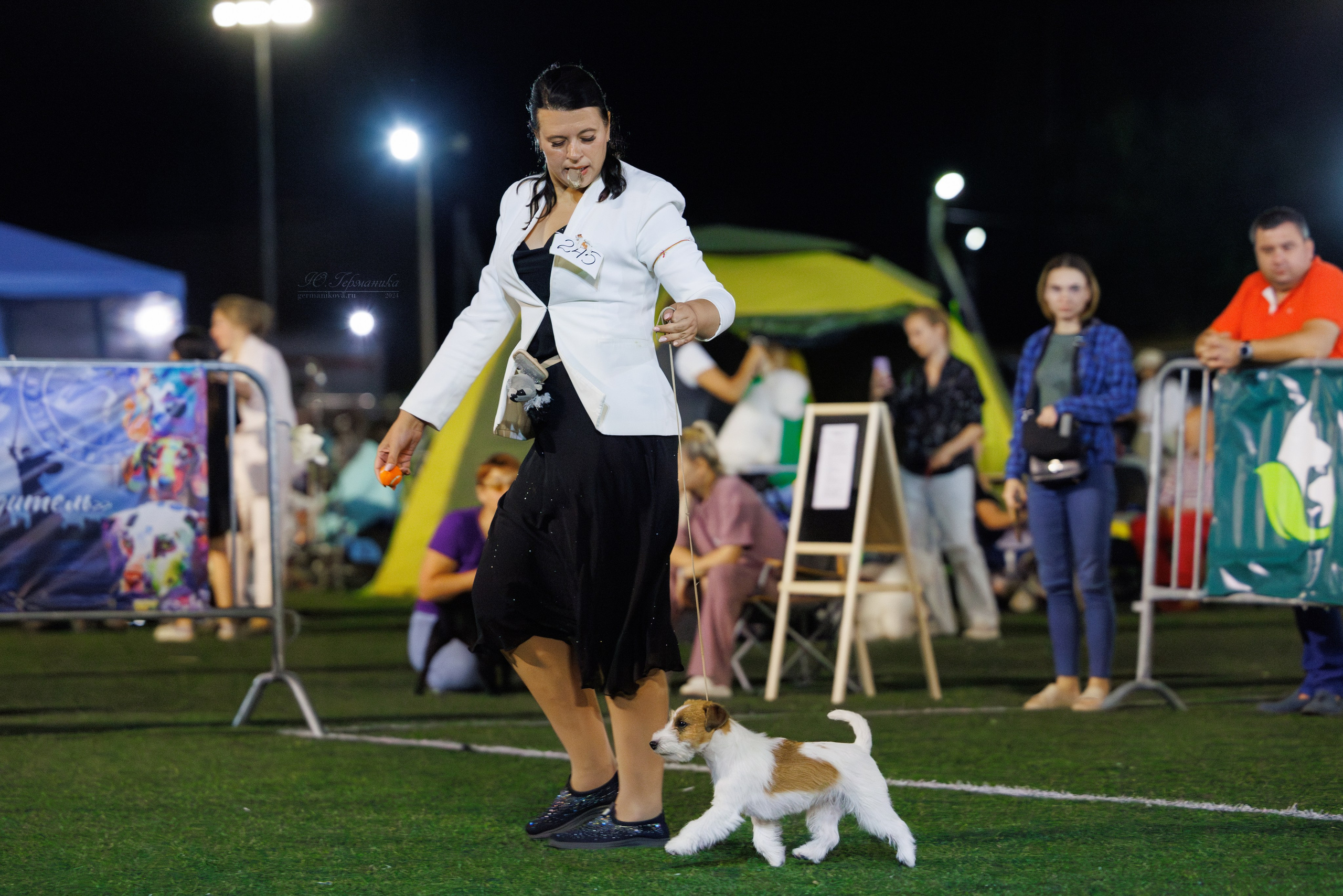 Волгоград 2-4.08.2024. Фотограф-анималист Юлия Германика