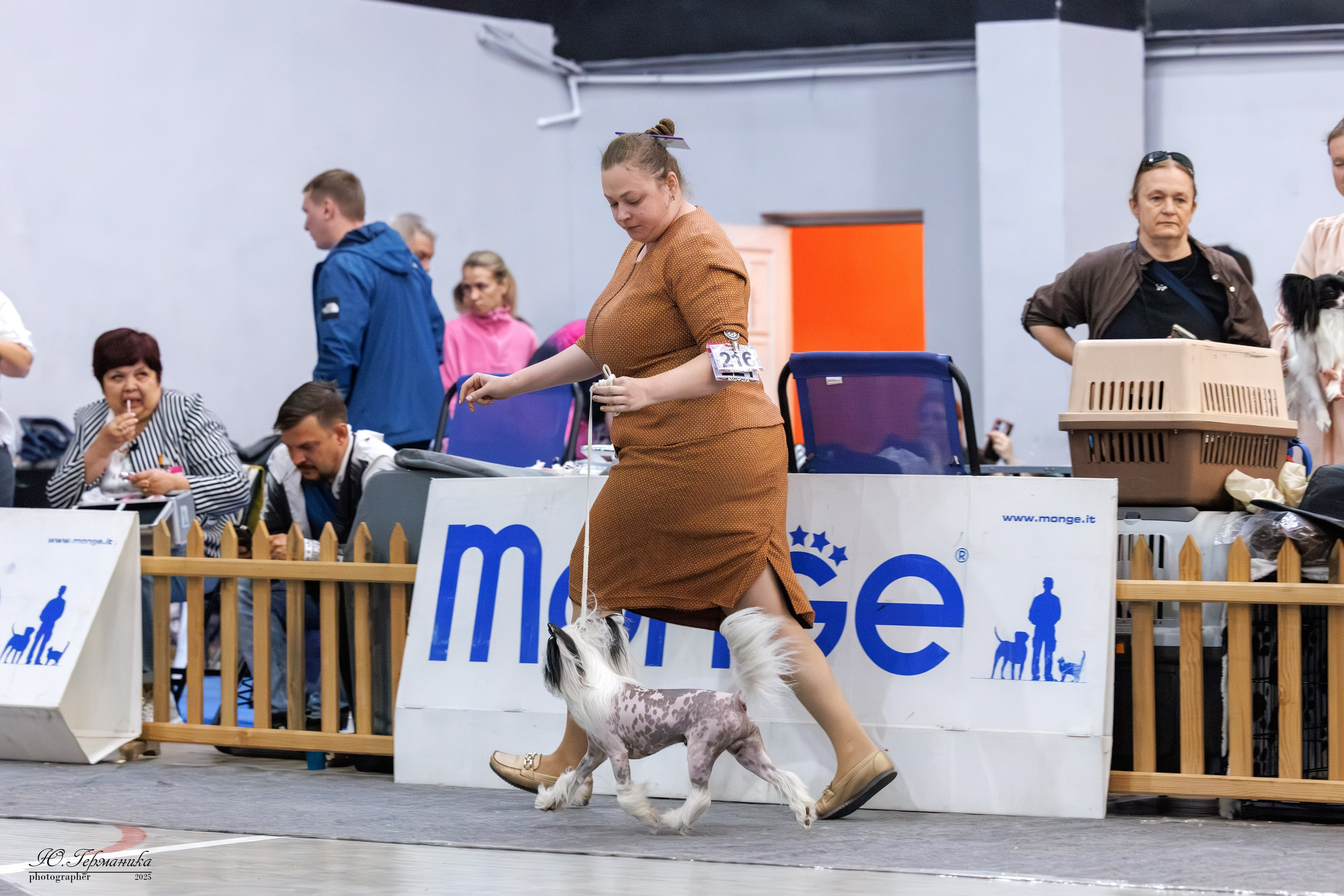 Ереван 2х CACIB 29-30.04.2025. Фотограф-анималист Юлия Германика