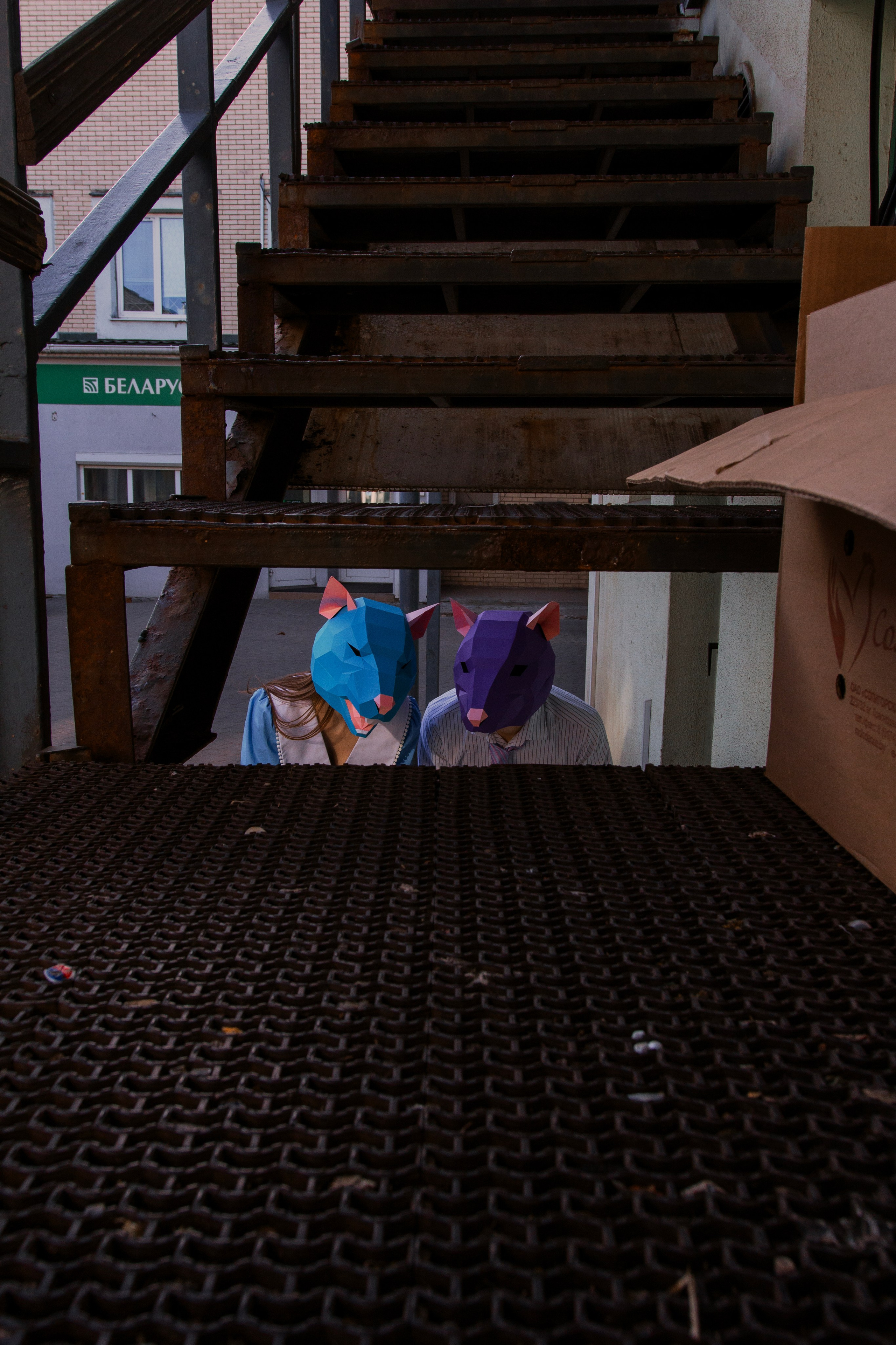 Красивая крысиная любовь