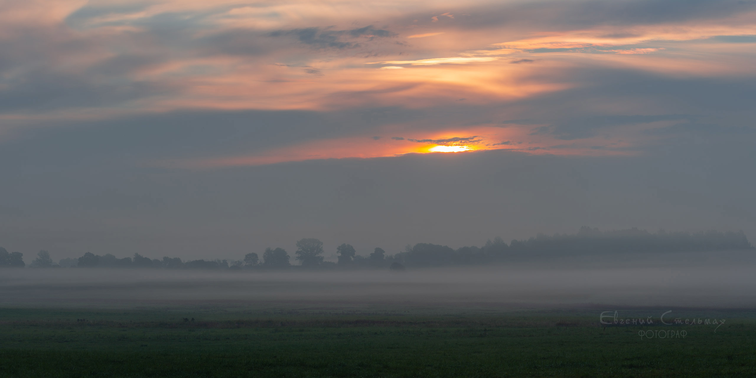 Рассветный туман 