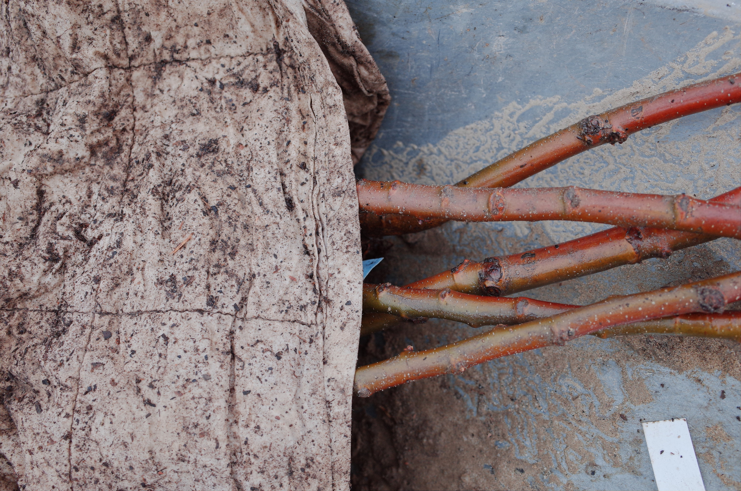 Farmers. Aleksander Chernov — Documentary filmmaker and photographer