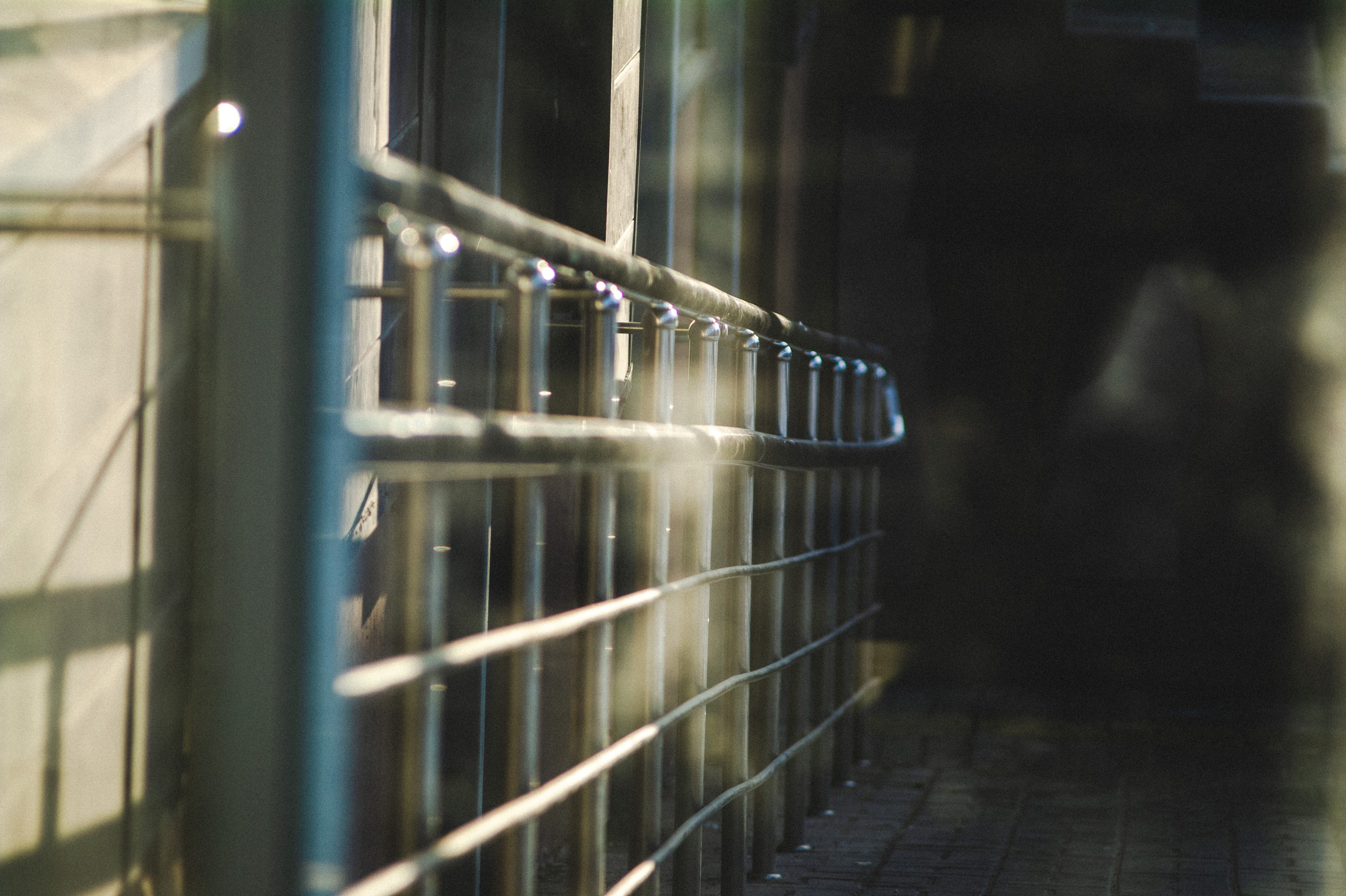 Борьба света и мрака. Den Mirov — Фотограф, Музыкант