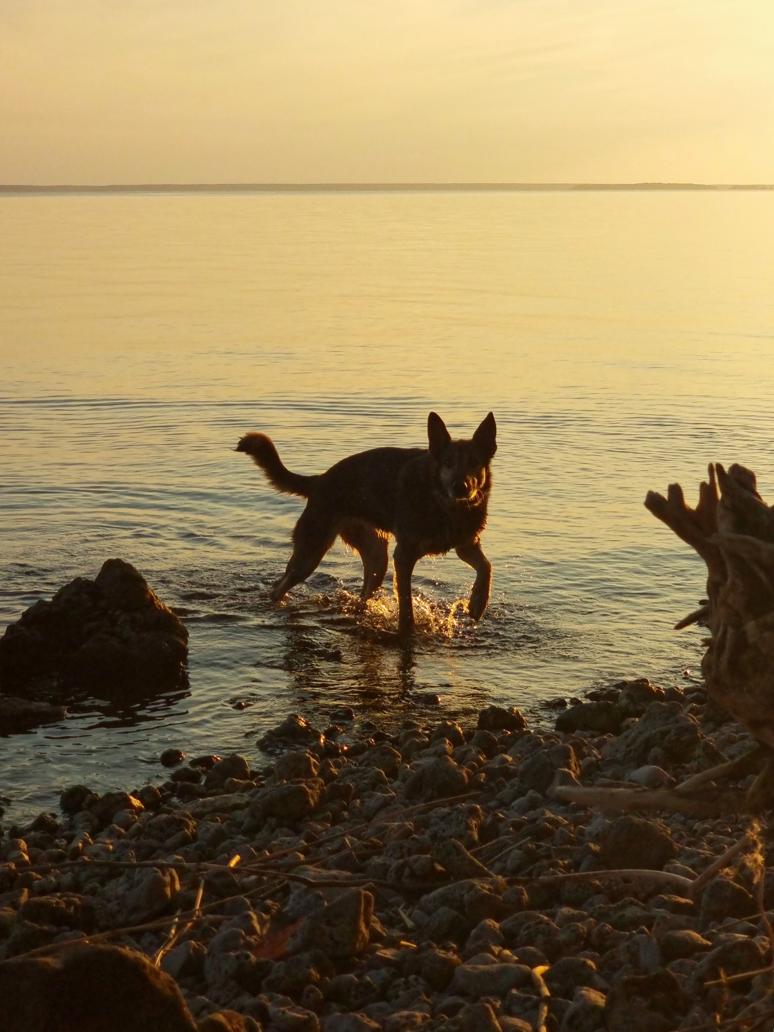 Июль 2025. Den Mirov — Фотограф, Музыкант