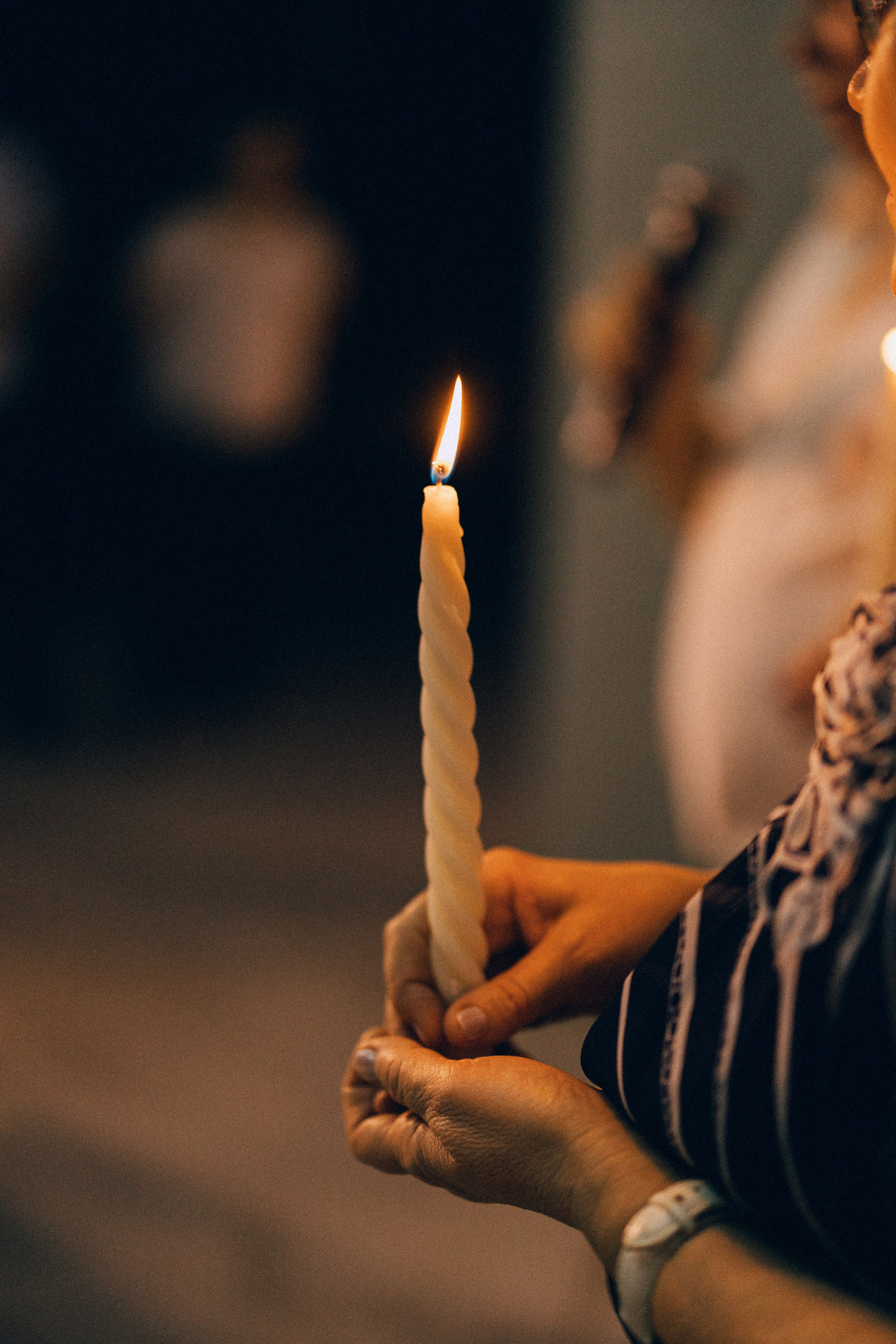 Dandelions. Daria Chigintseva Photographer