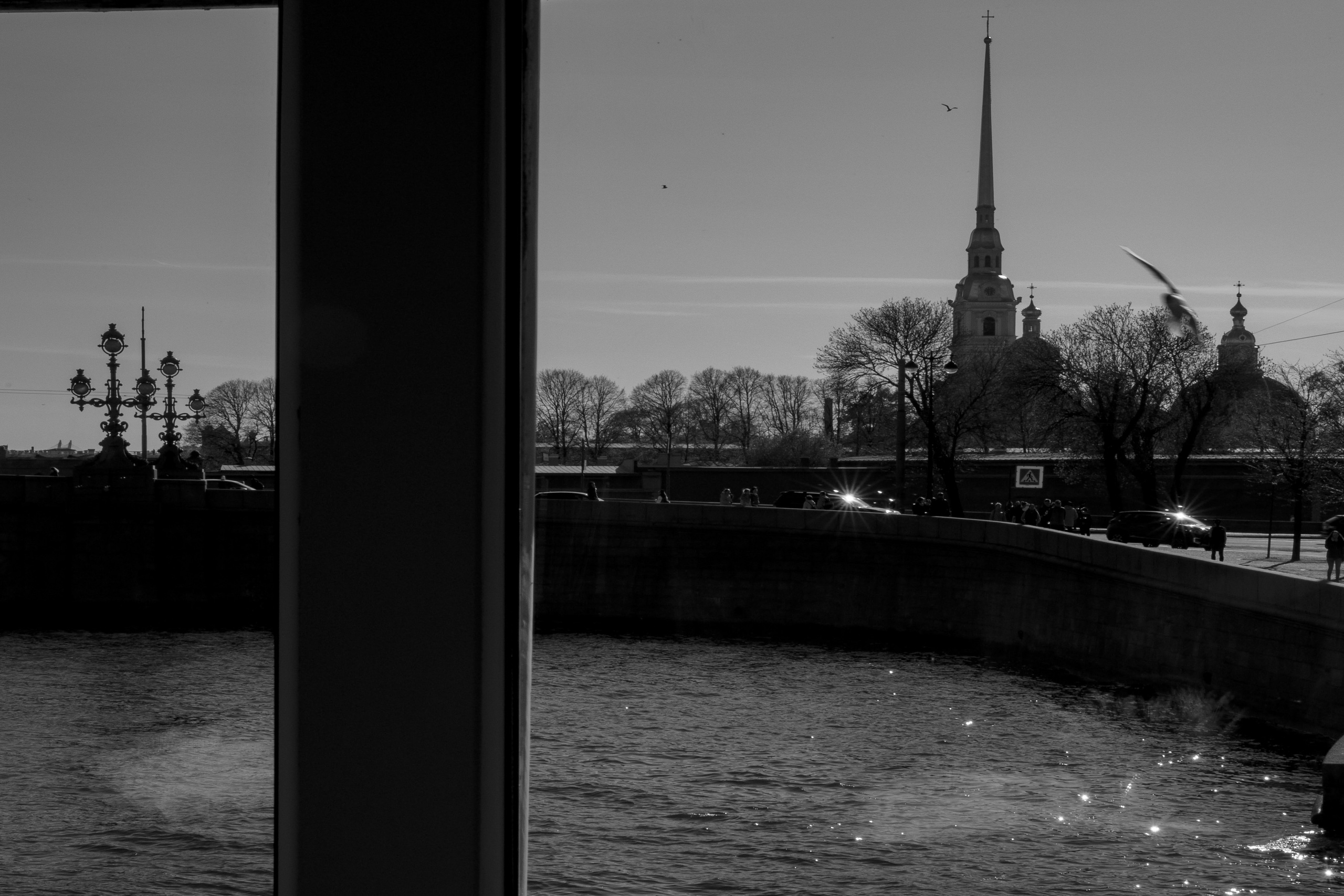 Сергей и Ксения. @dariazphoto свадебный фотограф