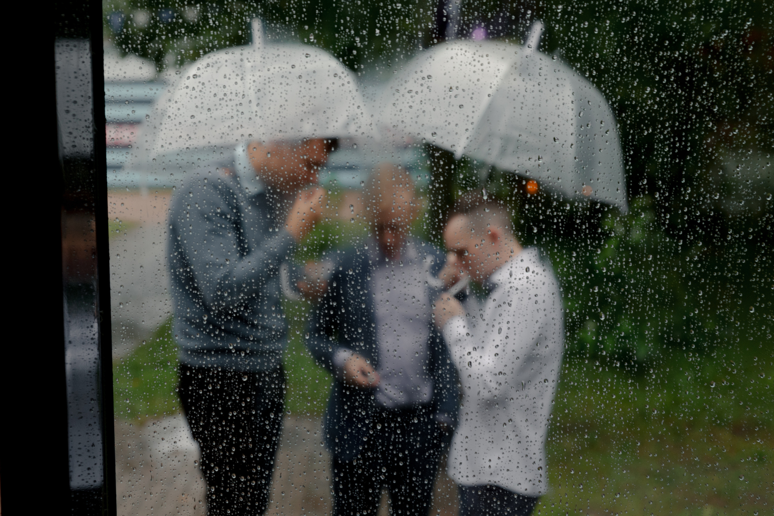 Дмитрий и Александра. @dariazphoto свадебный фотограф