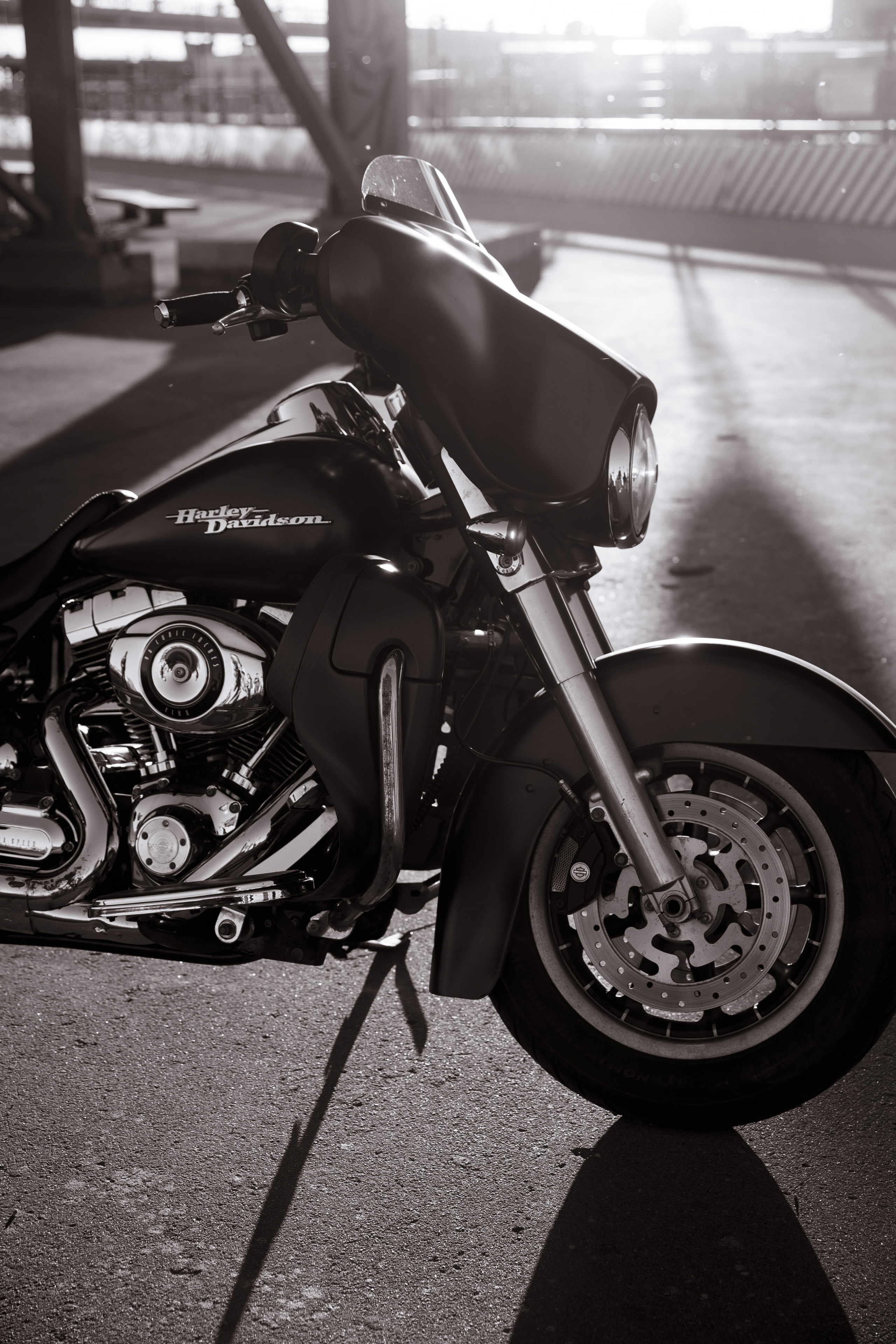 II. @dariazphoto свадебный фотограф