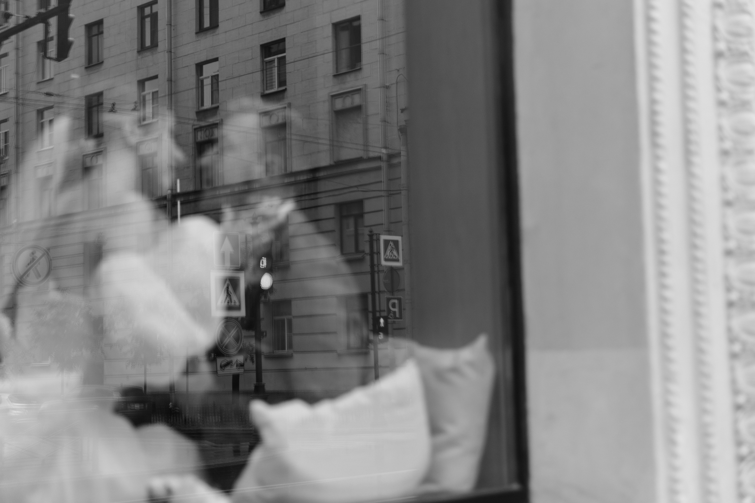 Антон и Екатерина. @dariazphoto свадебный фотограф