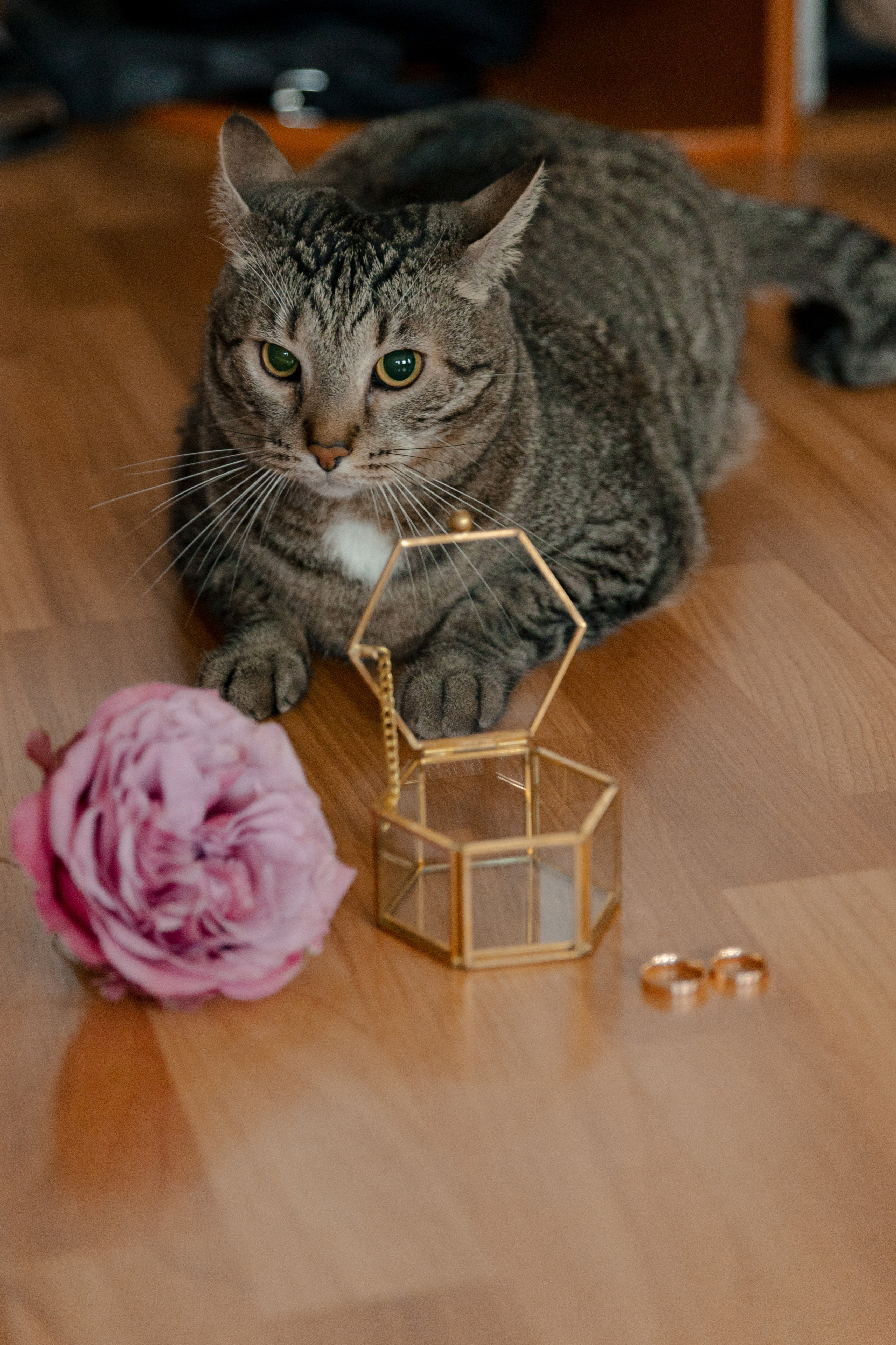 Михаил и Валерия. @dariazphoto свадебный фотограф